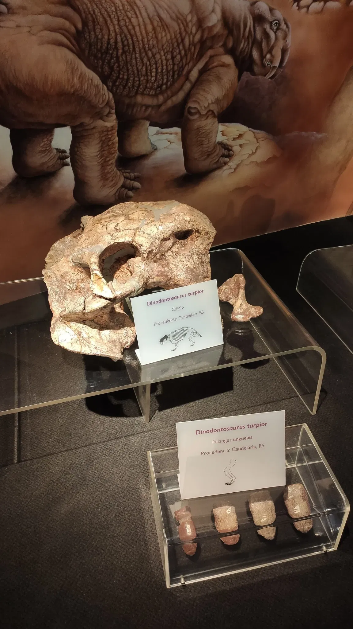 PUCRS Museum of Science and Technology