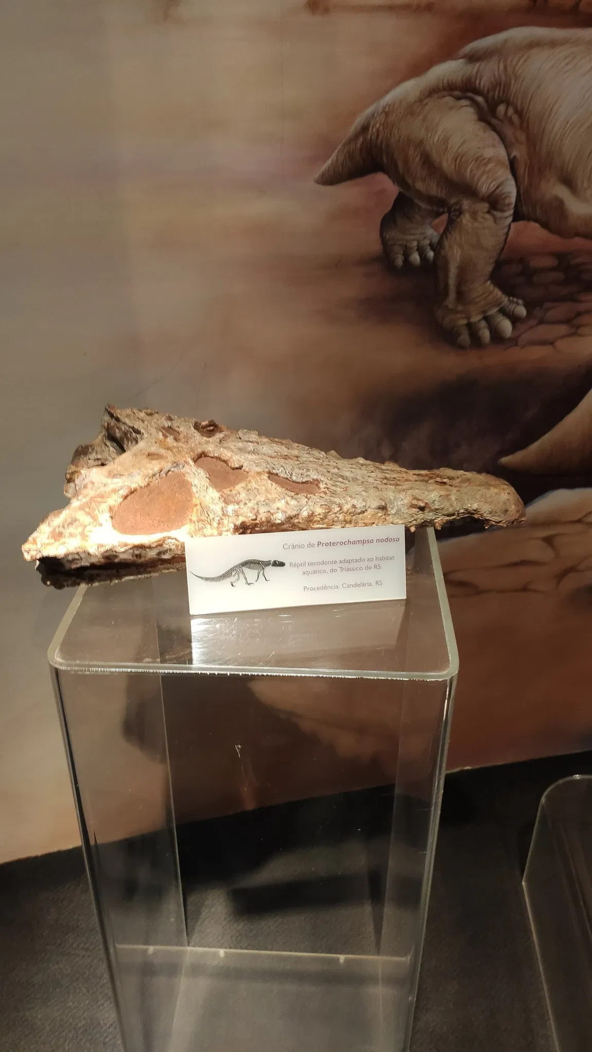 Museo de la Ciencia y la Tecnología PUCRS