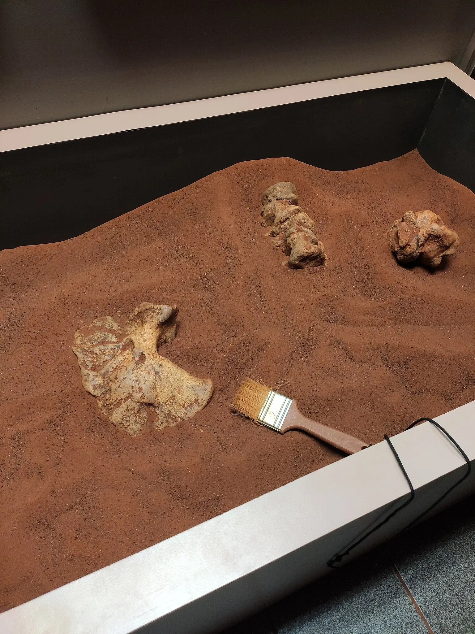 PUCRS Museum of Science and Technology