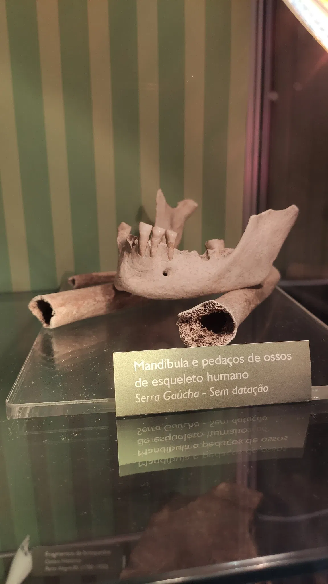 Museo de la Ciencia y la Tecnología PUCRS