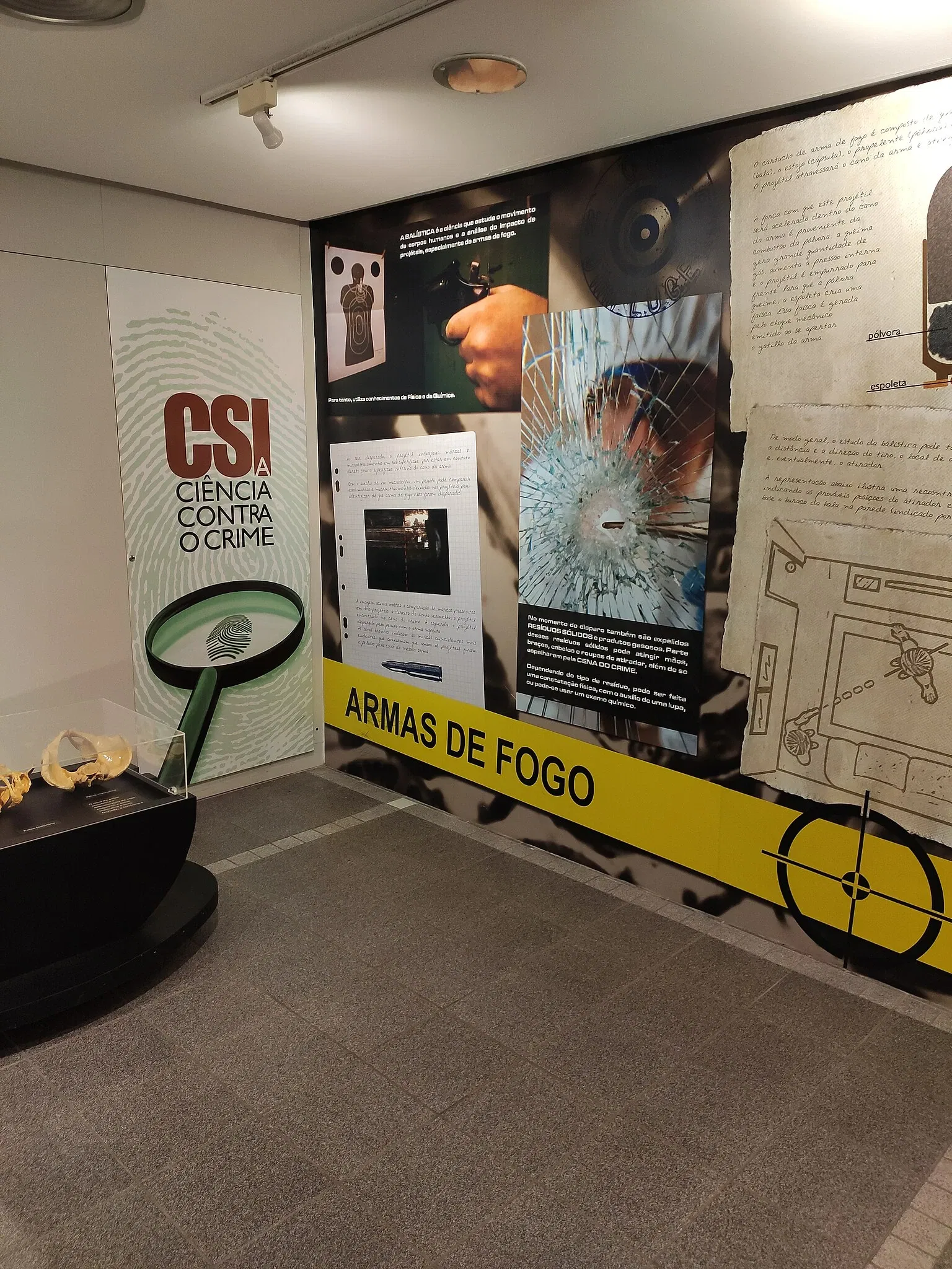 Museo de la Ciencia y la Tecnología PUCRS