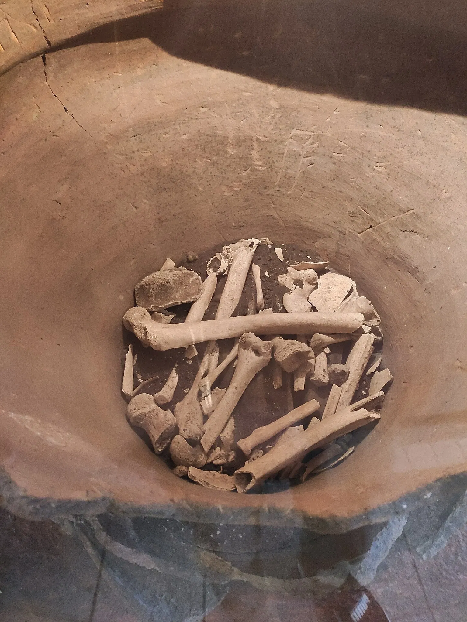 PUCRS Museum of Science and Technology