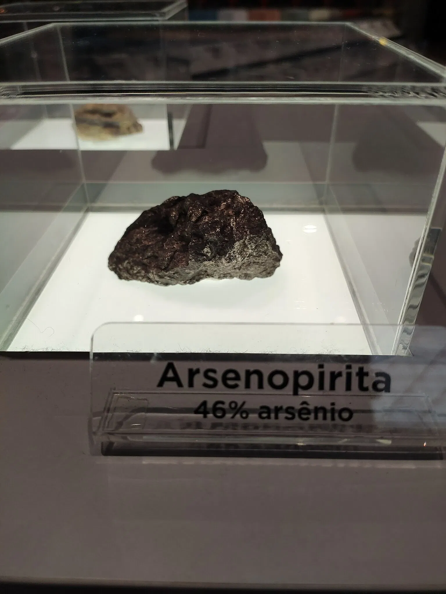 Museo de la Ciencia y la Tecnología PUCRS