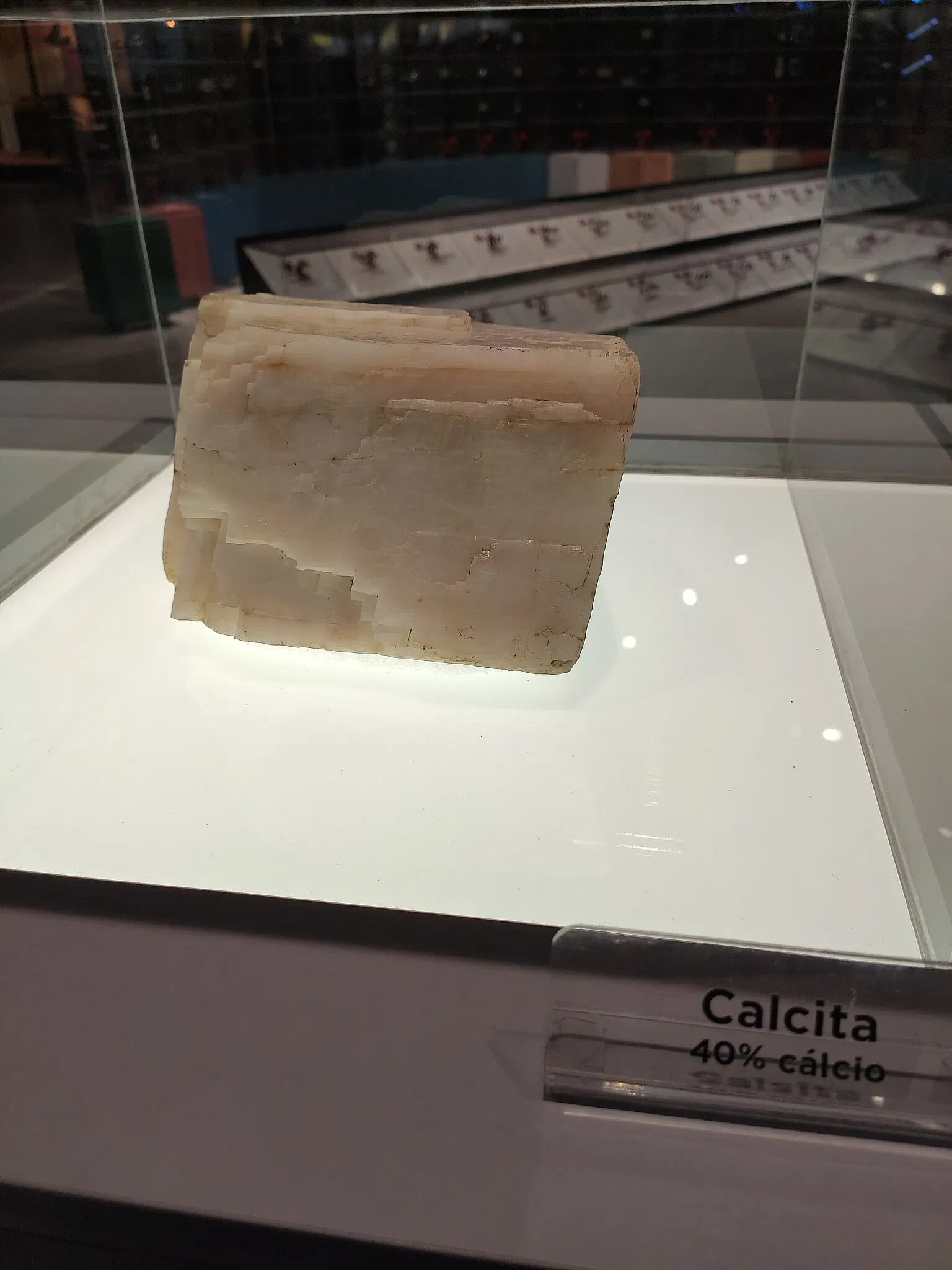 Museo de la Ciencia y la Tecnología PUCRS