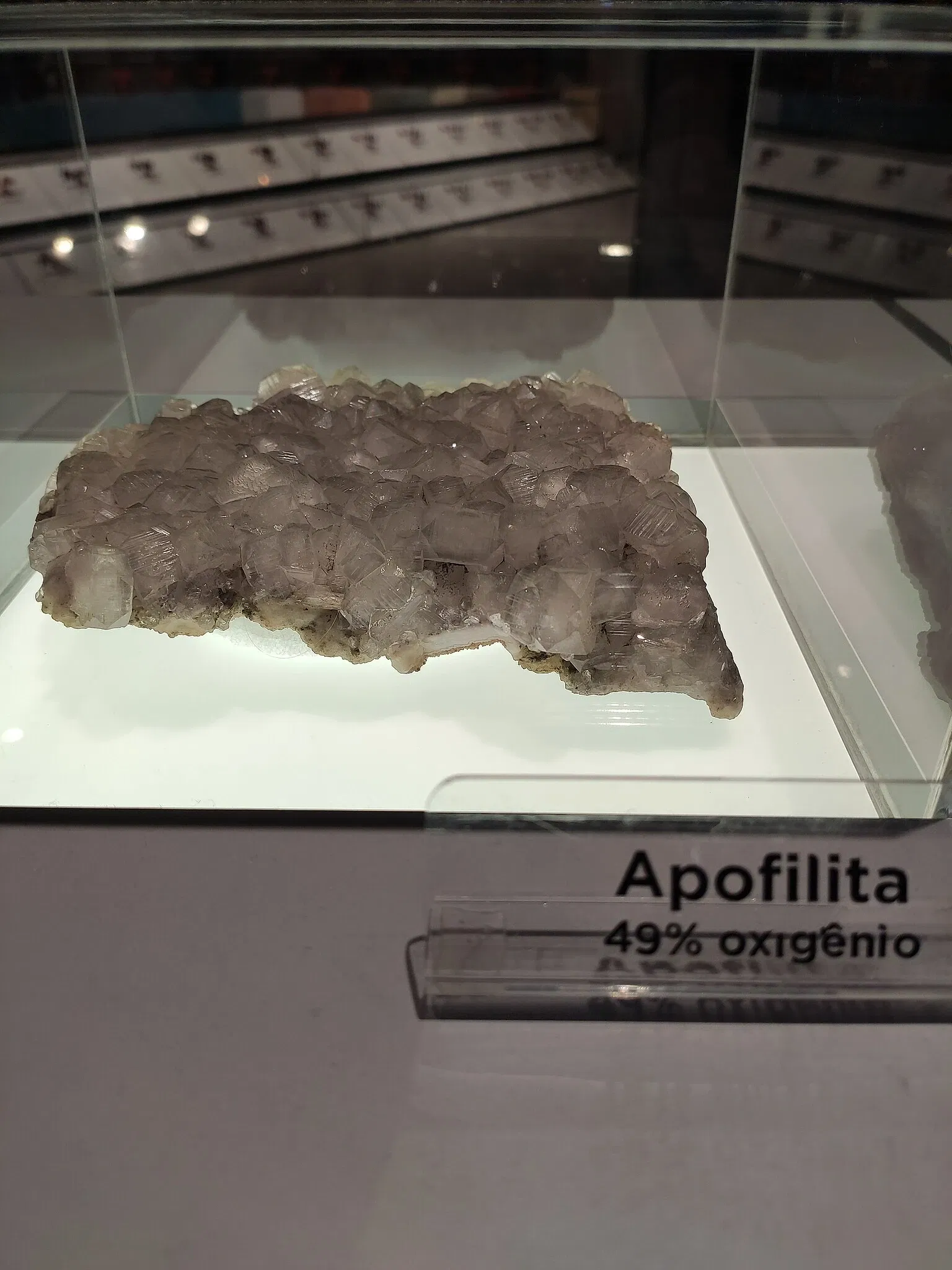 Museo de la Ciencia y la Tecnología PUCRS