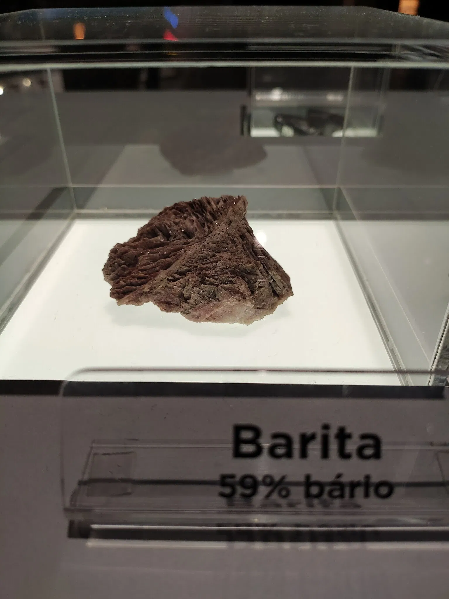 Museo de la Ciencia y la Tecnología PUCRS