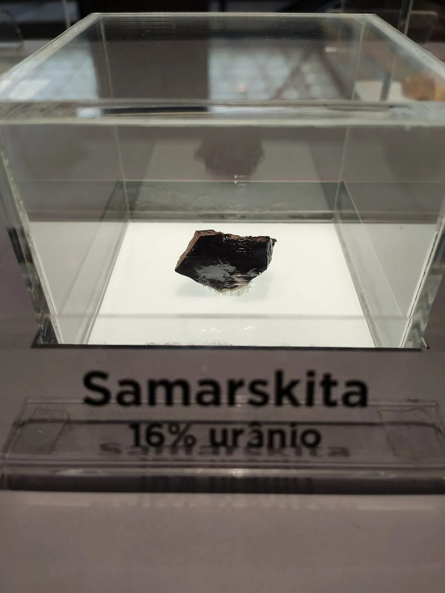 Museo de la Ciencia y la Tecnología PUCRS