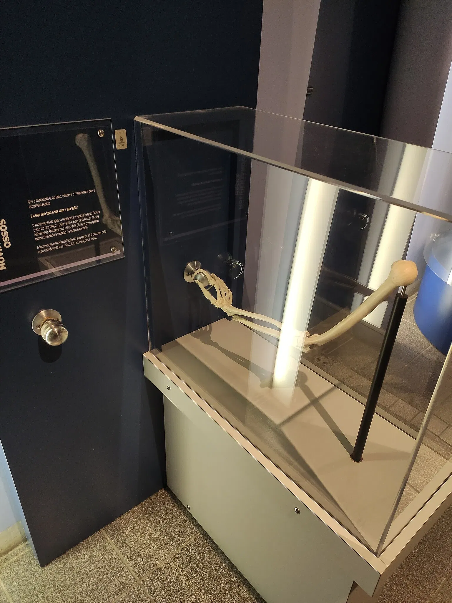 Museo de la Ciencia y la Tecnología PUCRS