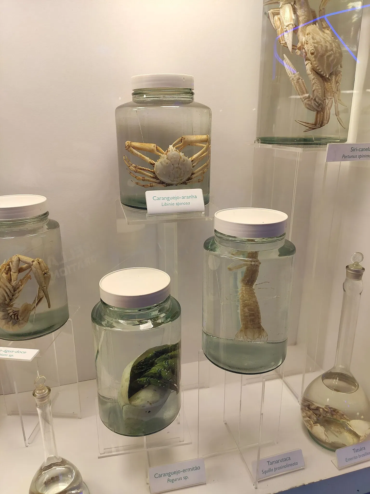 PUCRS Museum of Science and Technology