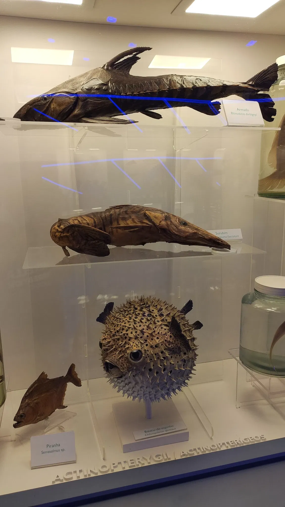 PUCRS Museum of Science and Technology