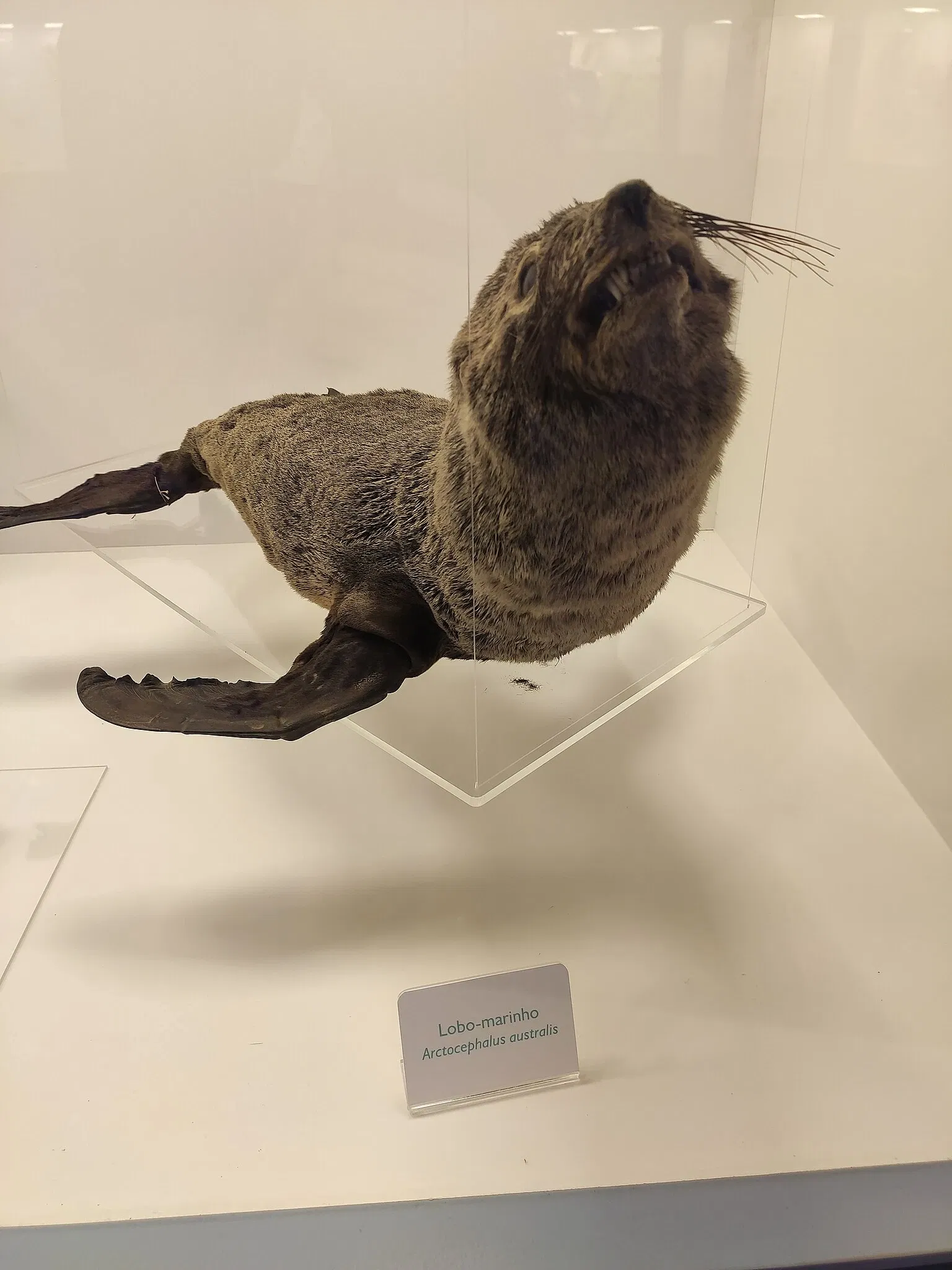 PUCRS Museum of Science and Technology