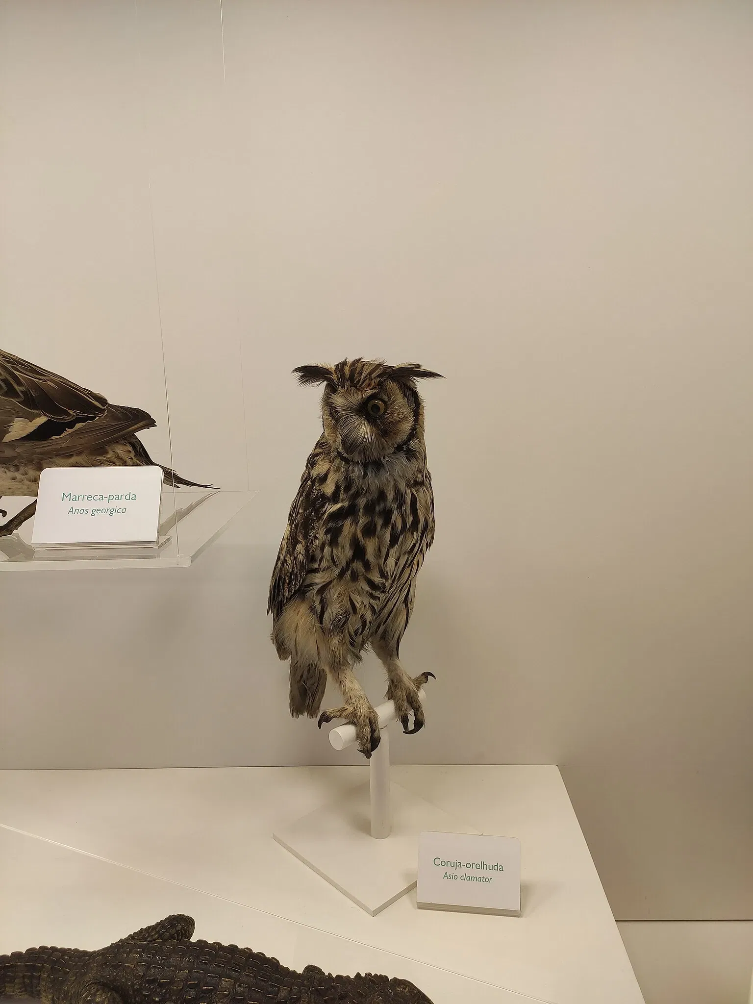 PUCRS Museum of Science and Technology