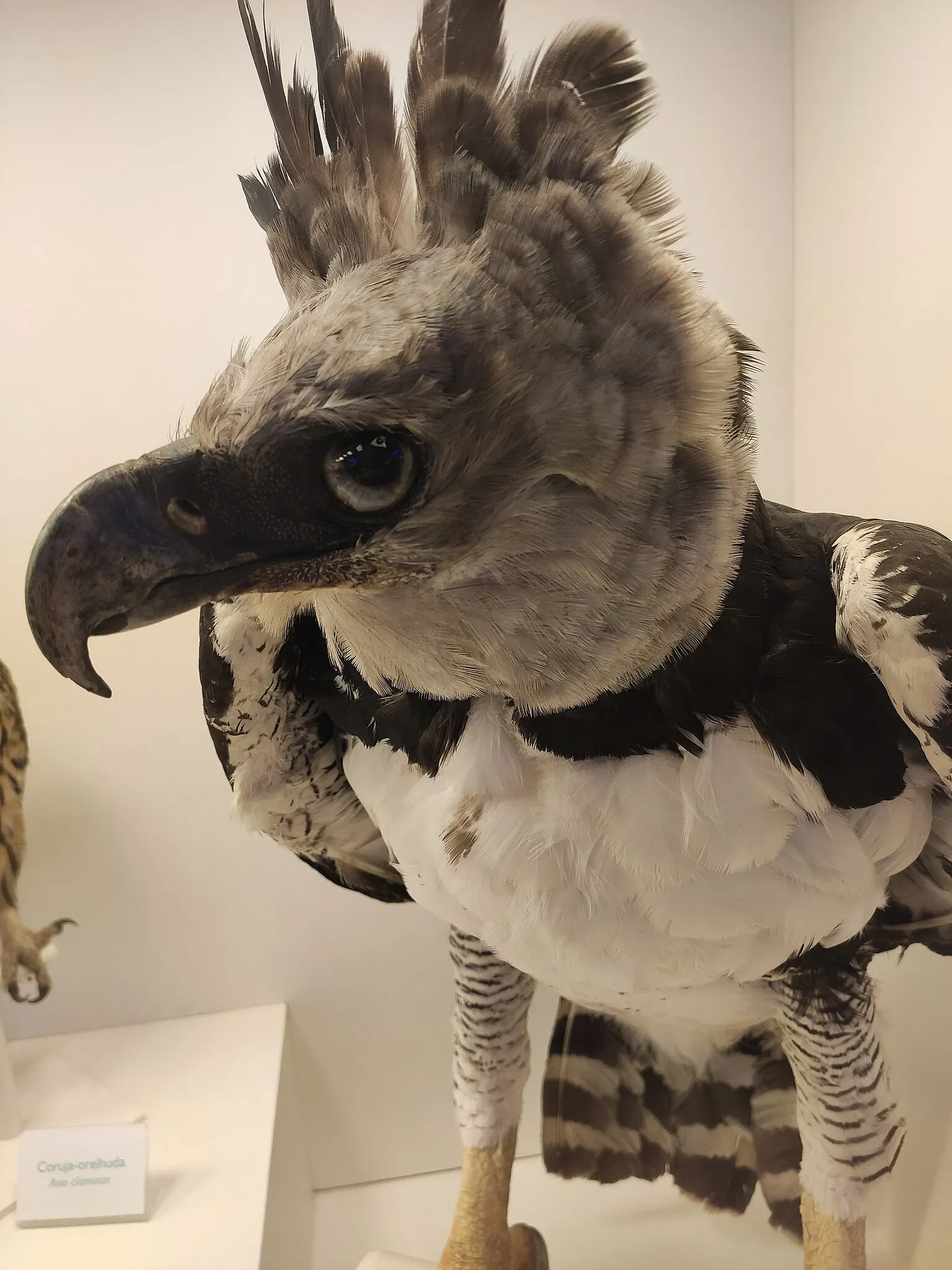 PUCRS Museum of Science and Technology