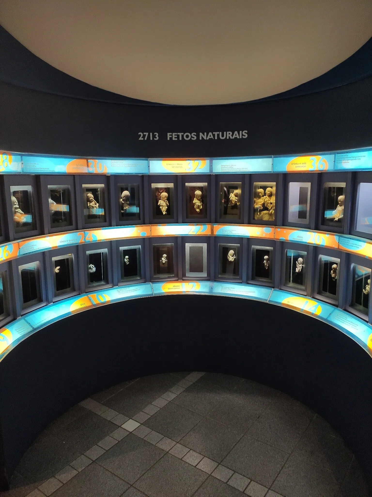 PUCRS Museum of Science and Technology