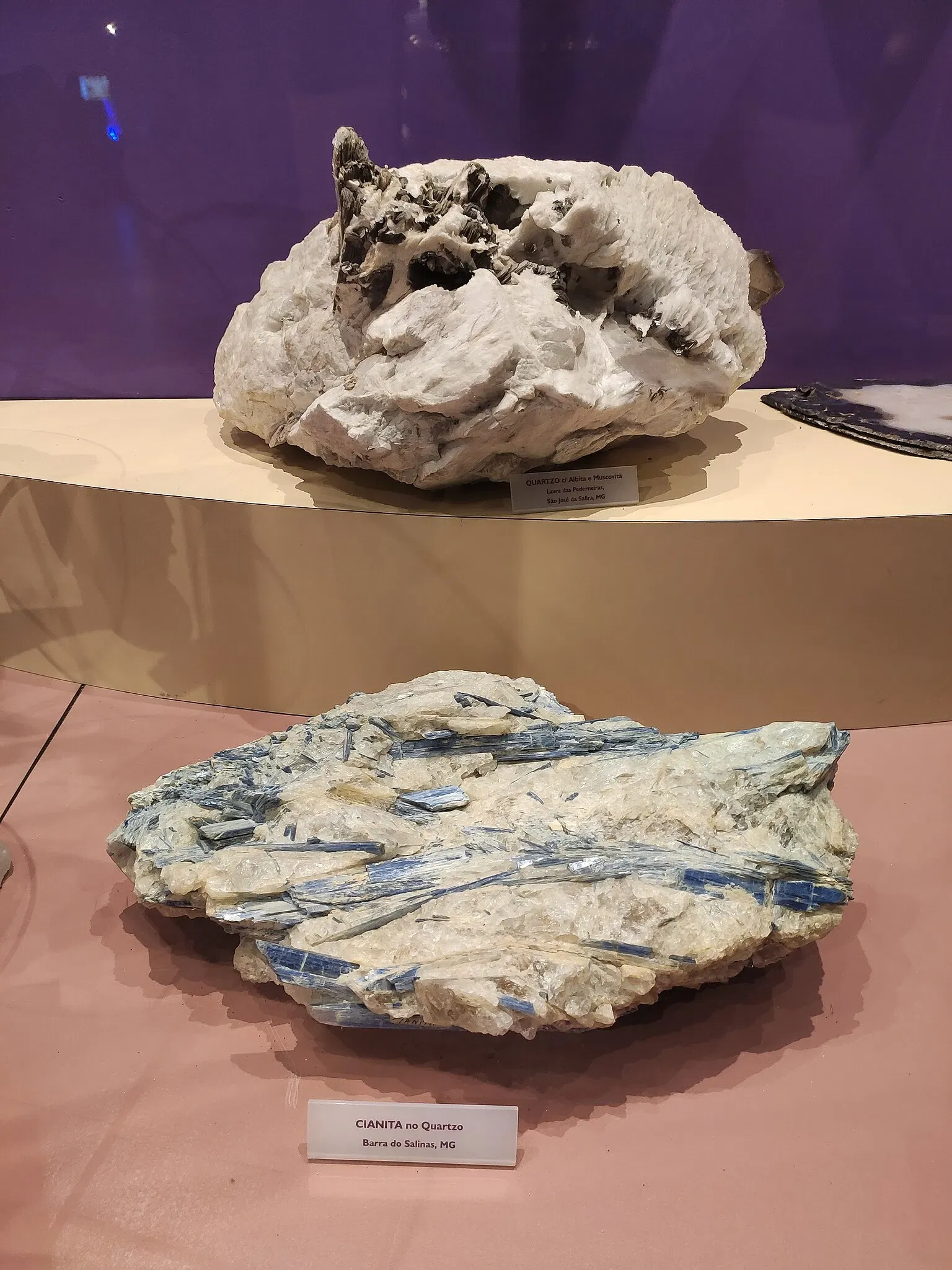 Museo de la Ciencia y la Tecnología PUCRS