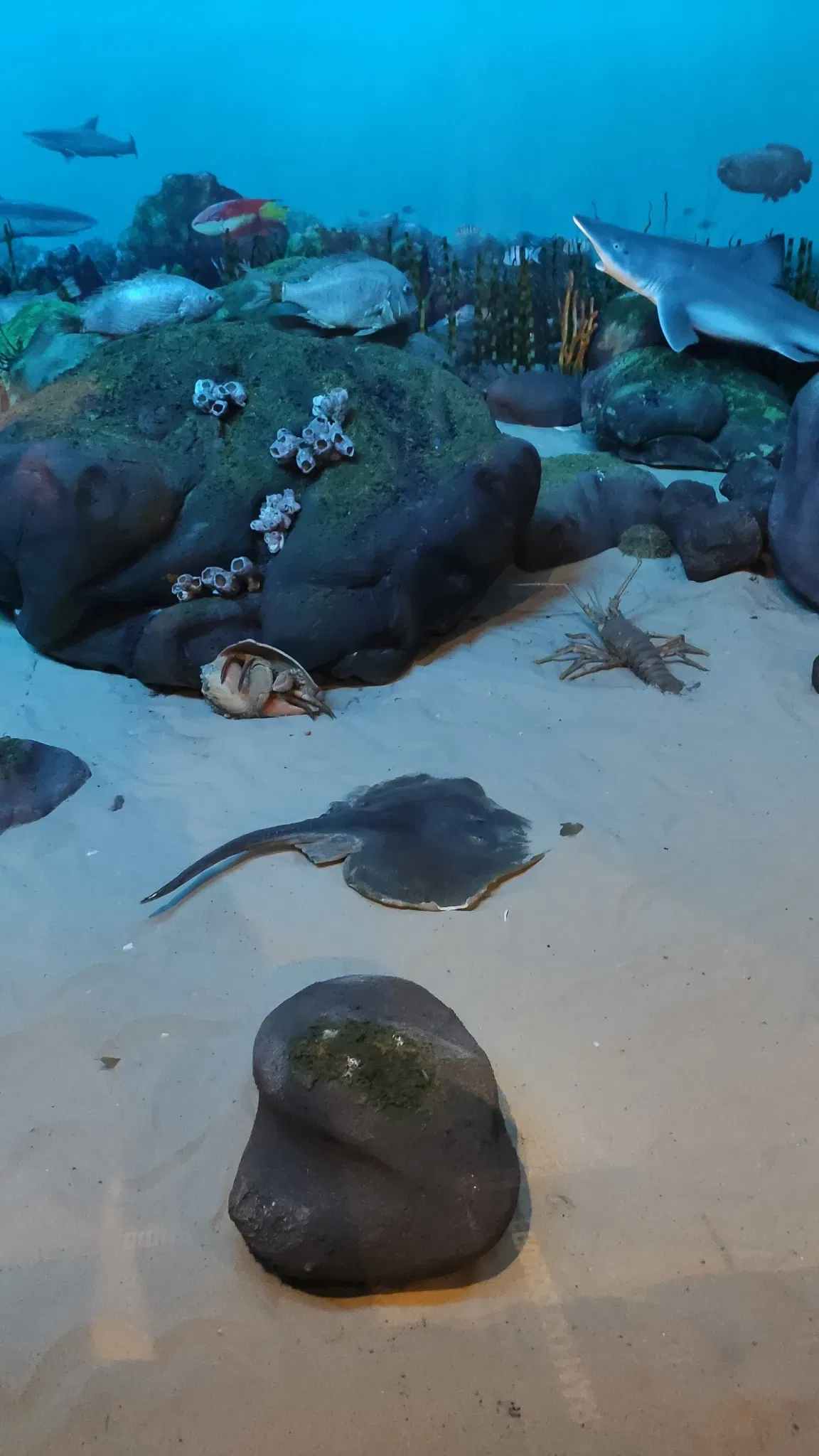 Museo de la Ciencia y la Tecnología PUCRS