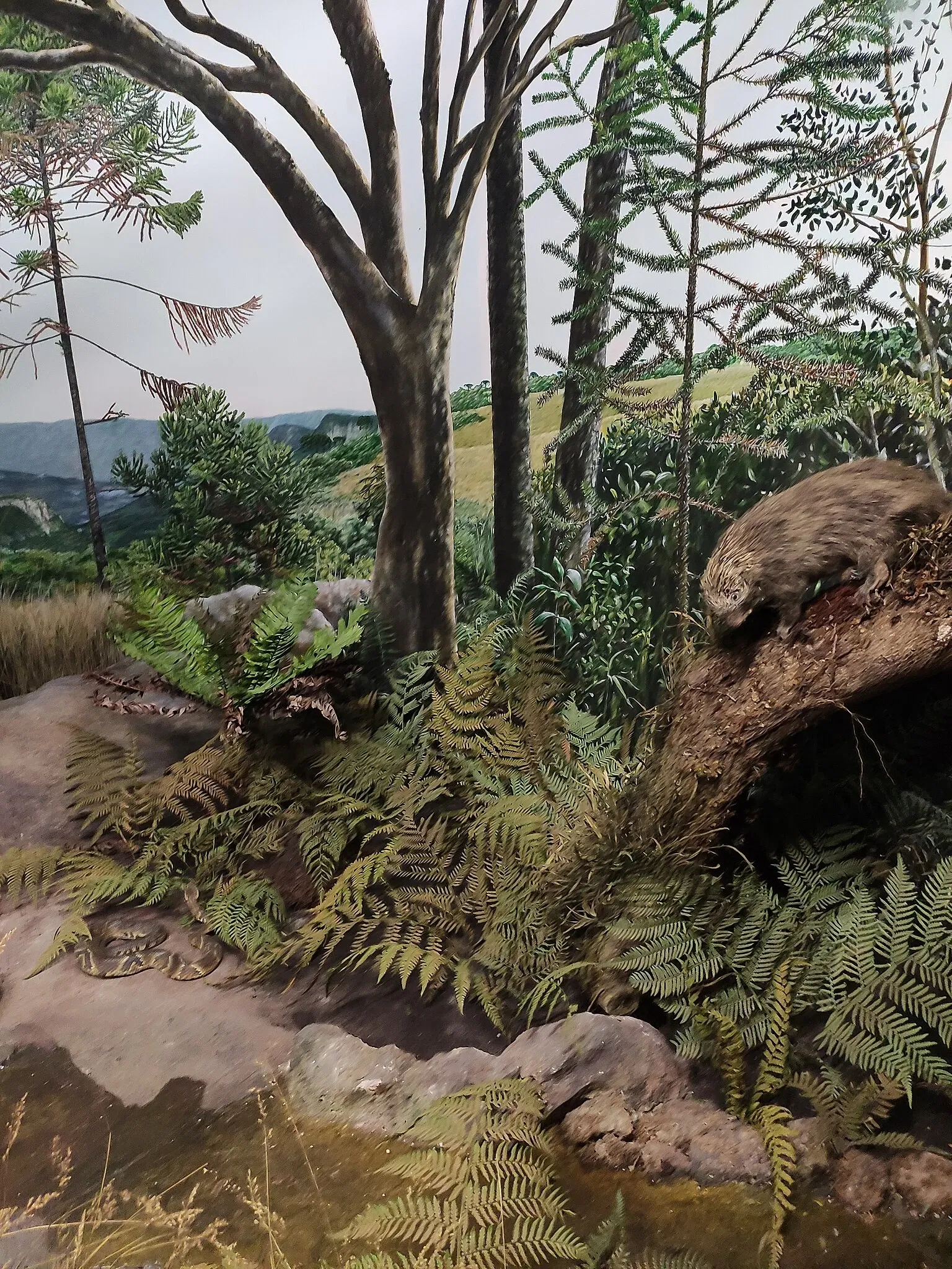 PUCRS Museum of Science and Technology