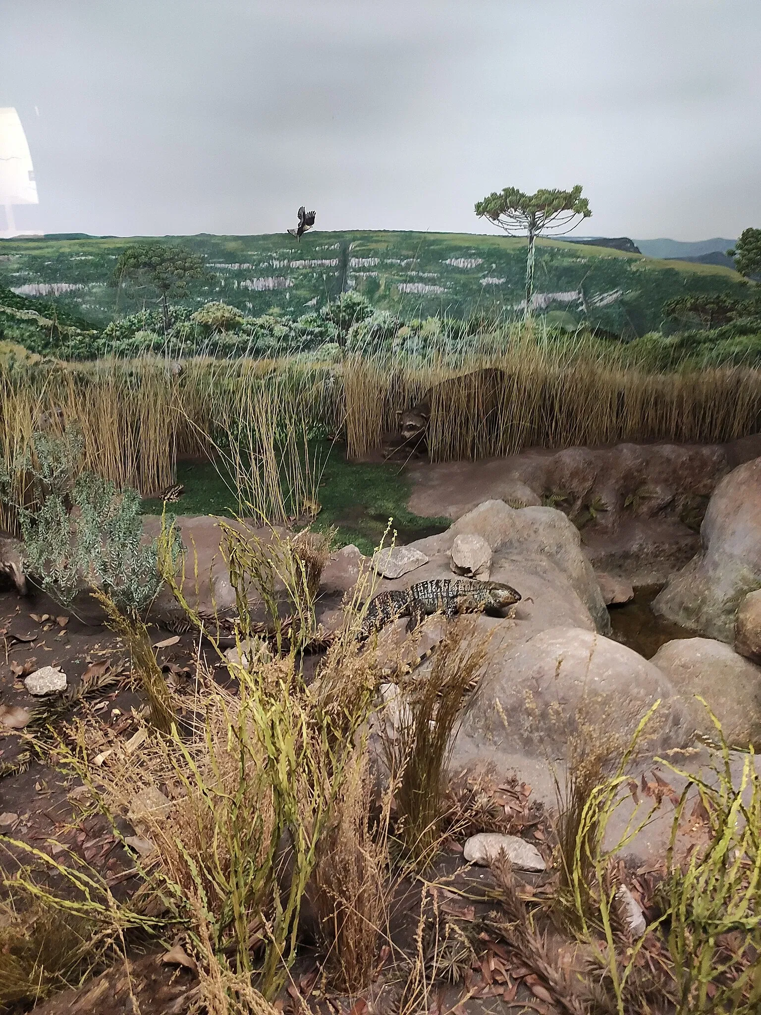 Museo de la Ciencia y la Tecnología PUCRS