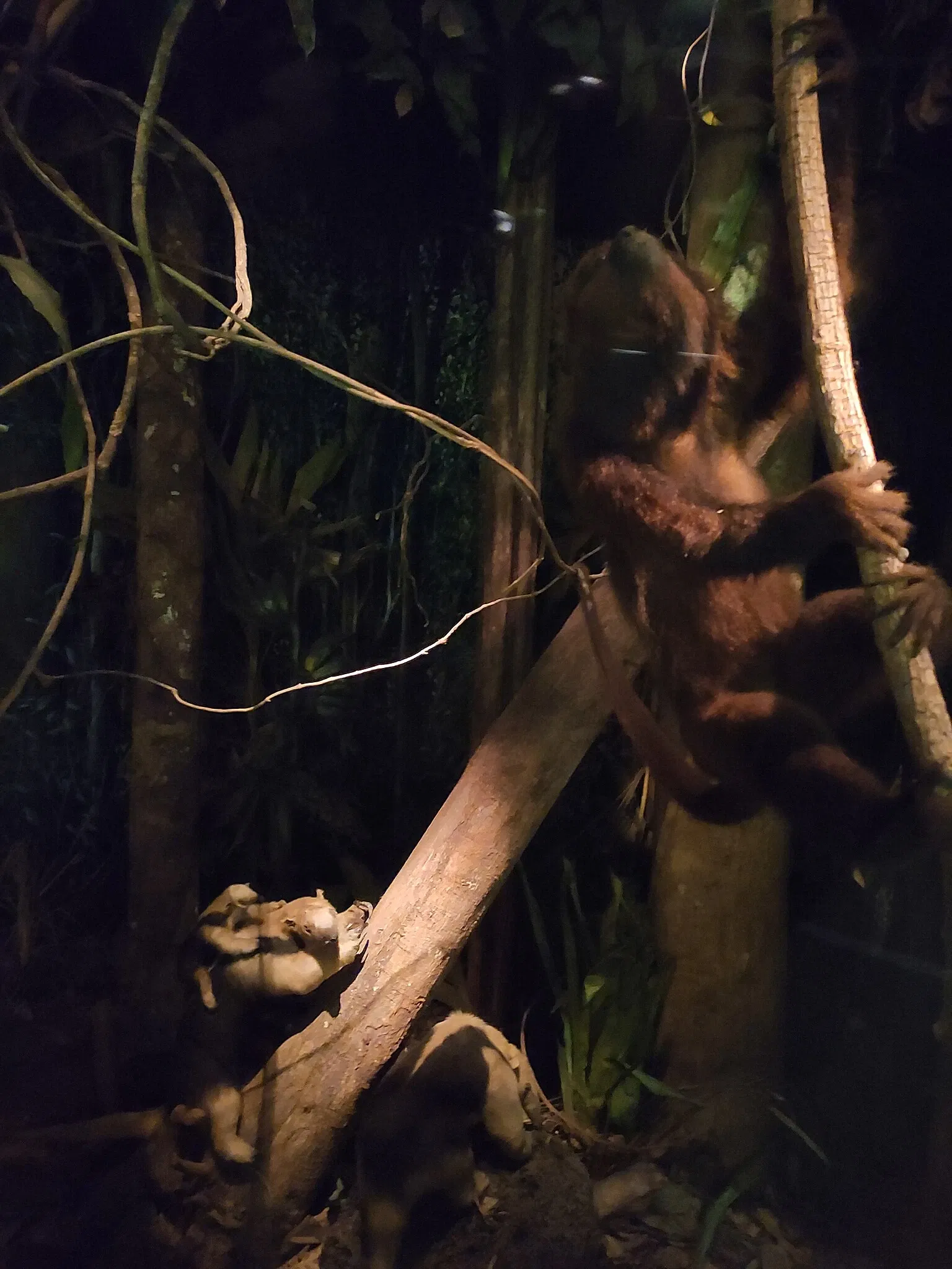 PUCRS Museum of Science and Technology