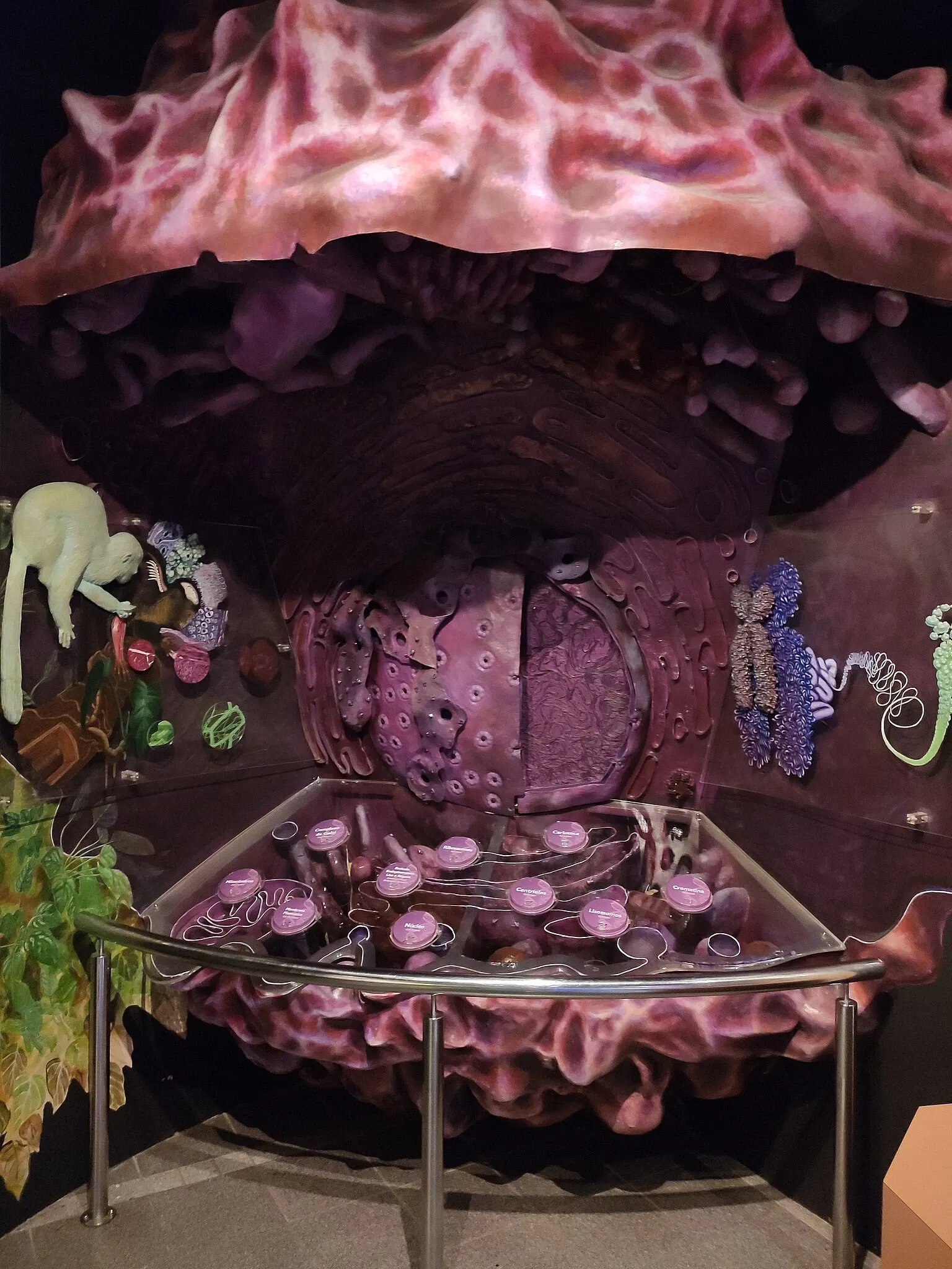 PUCRS Museum of Science and Technology