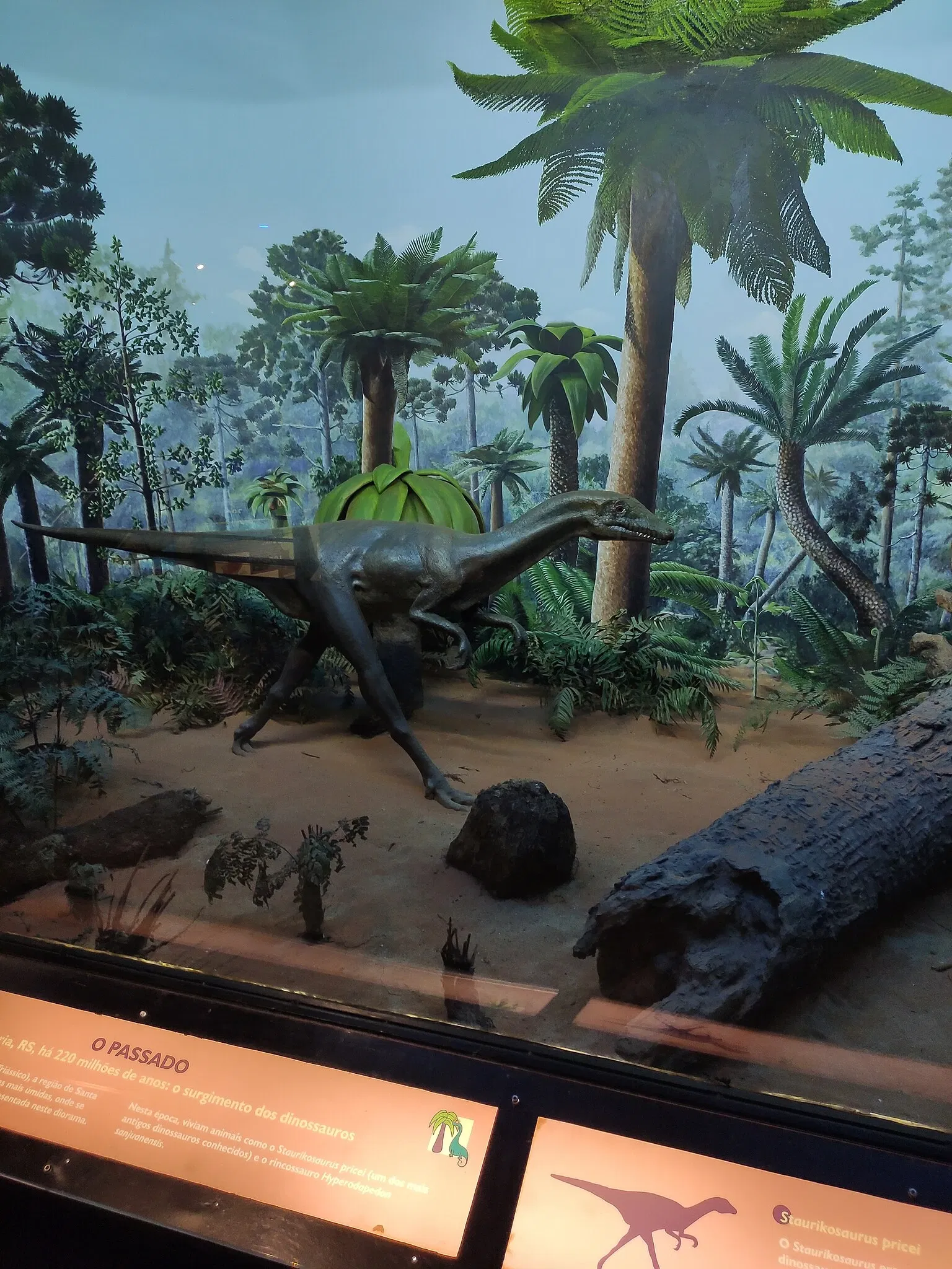 PUCRS Museum of Science and Technology