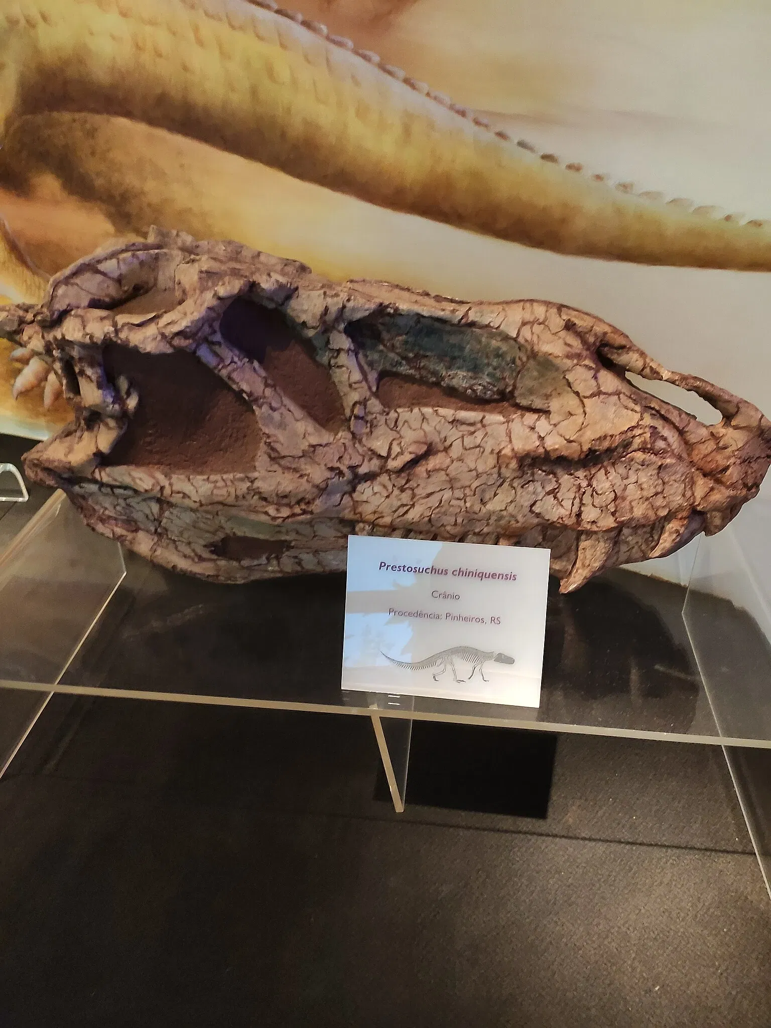 PUCRS Museum of Science and Technology