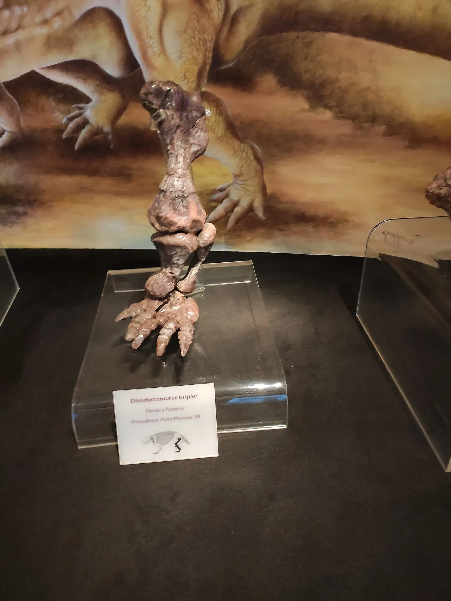 PUCRS Museum of Science and Technology