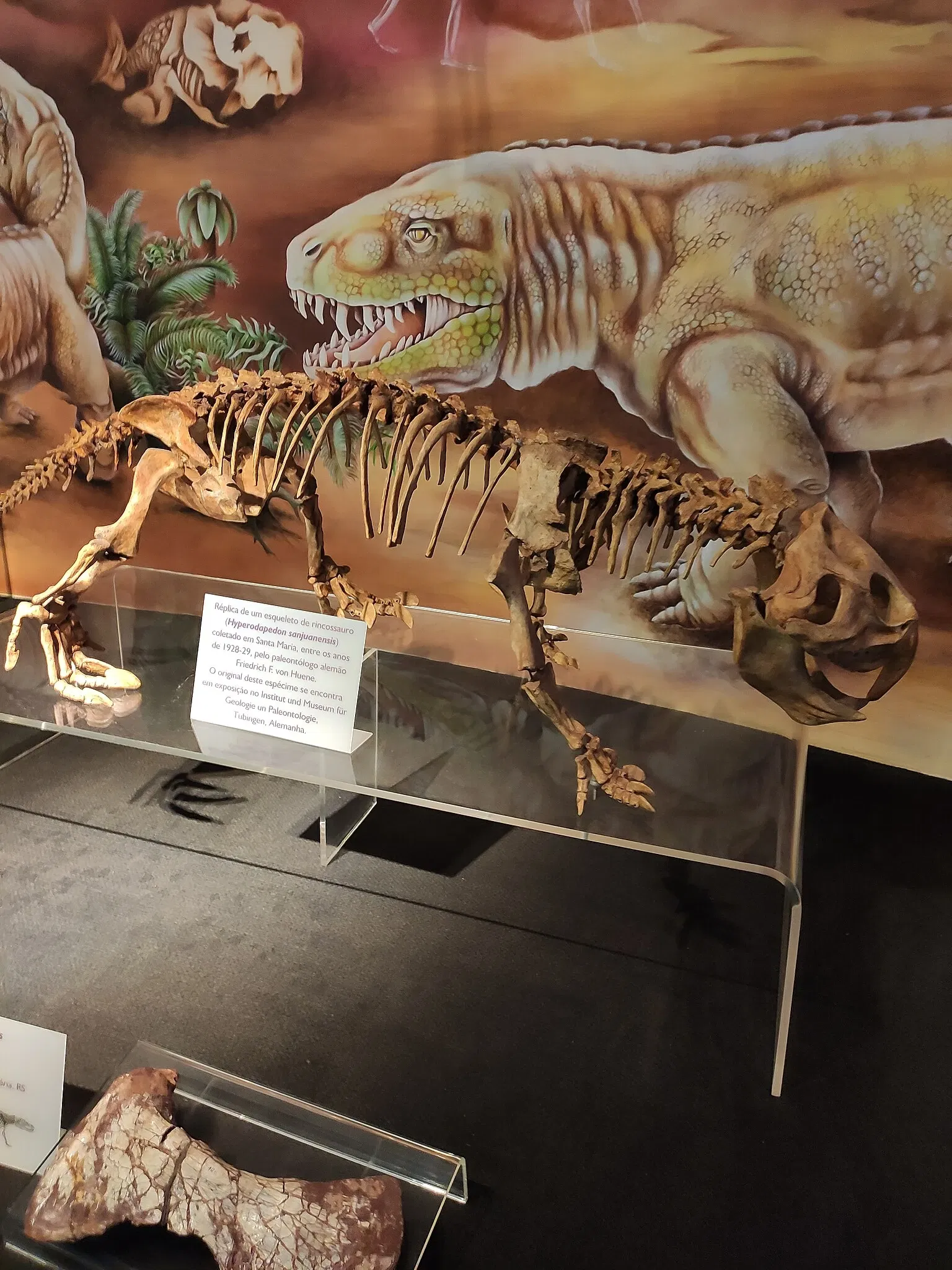 PUCRS Museum of Science and Technology