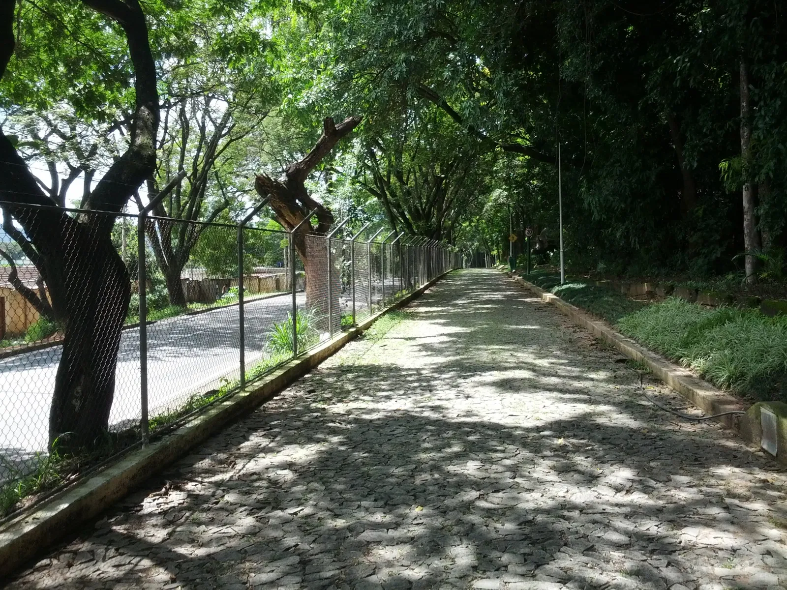 Natural History Museum and Botanical Garden UFMG