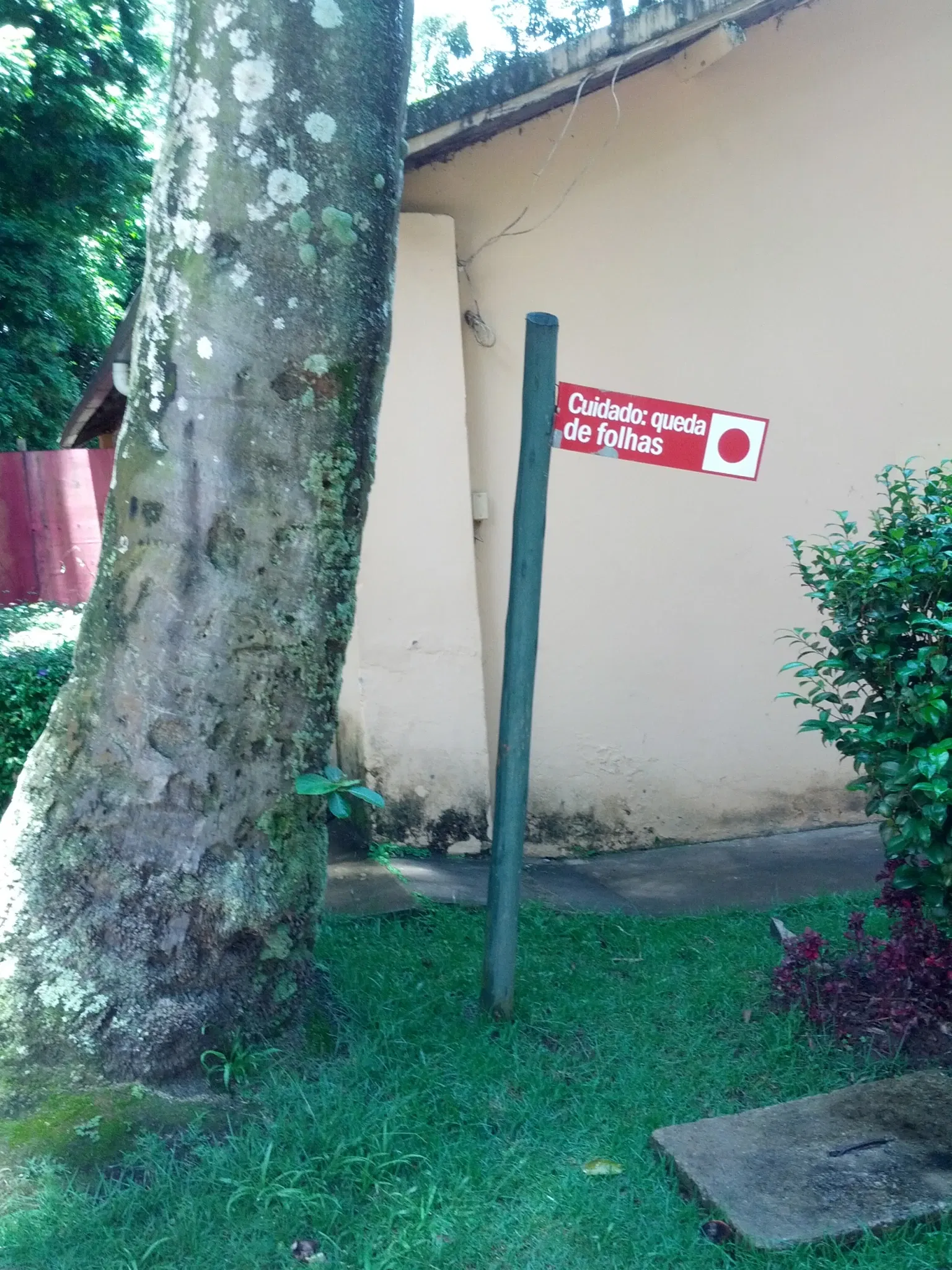 Natural History Museum and Botanical Garden UFMG