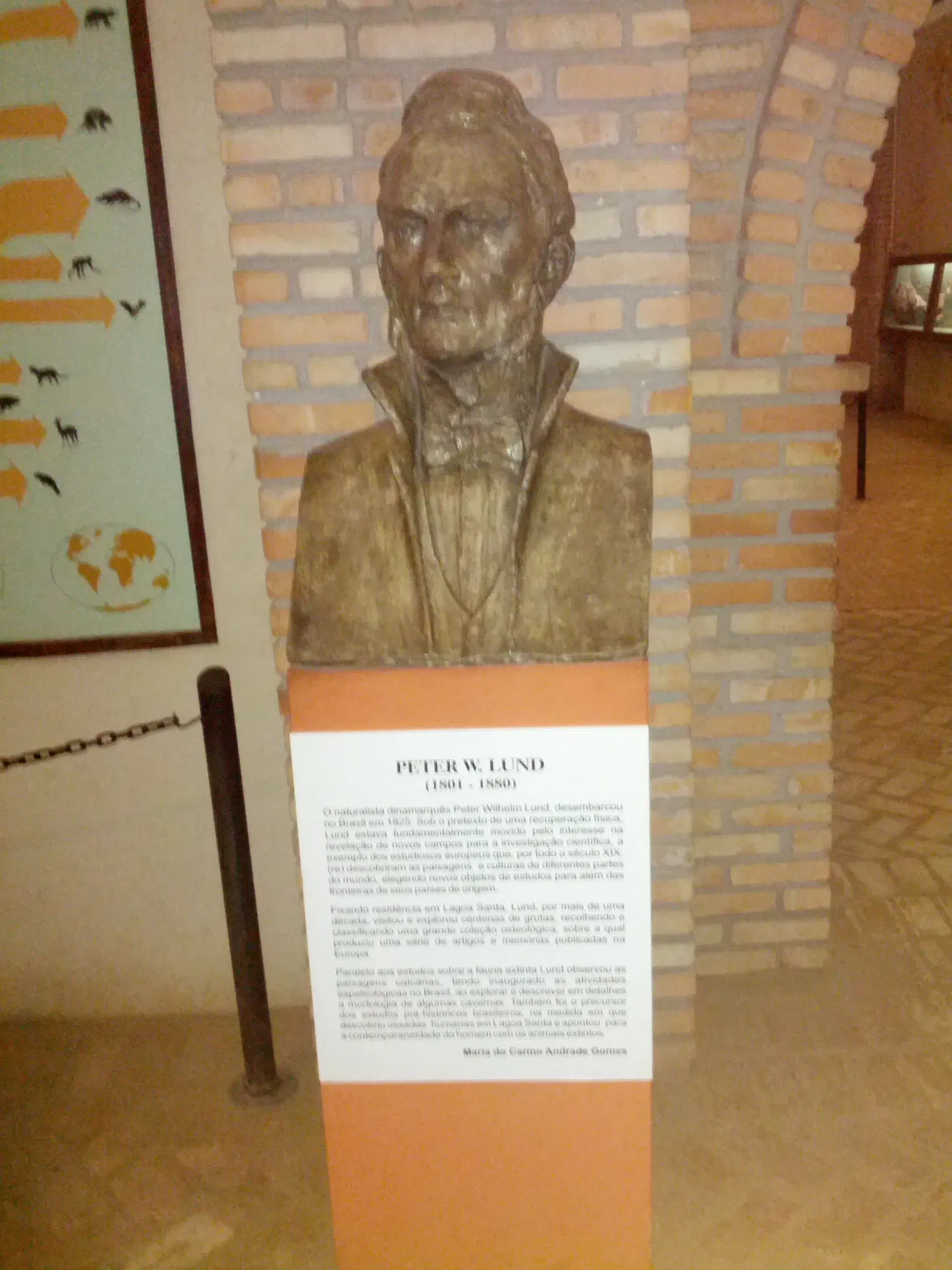 Natural History Museum and Botanical Garden UFMG