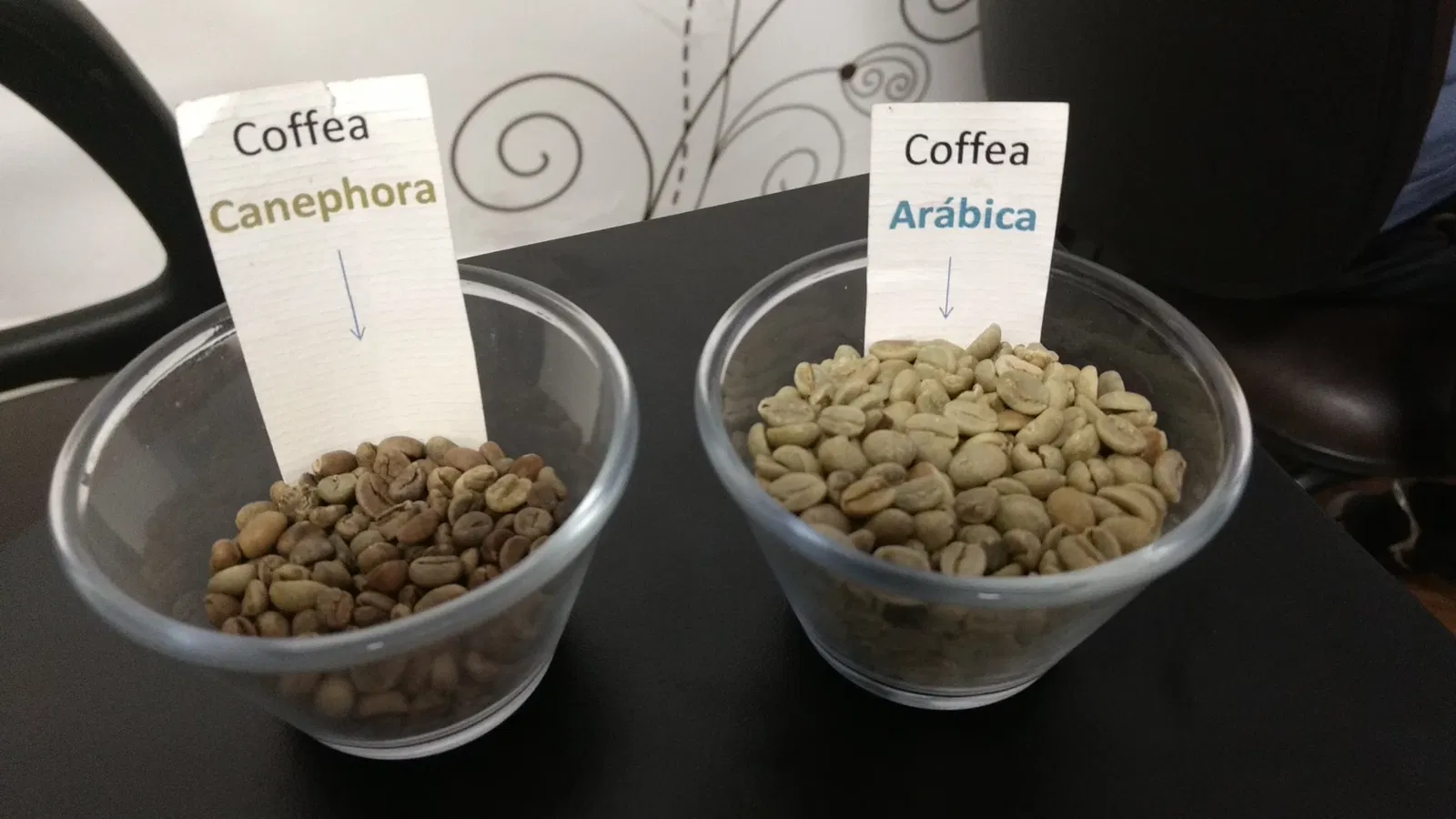 Bolsa Oficial de Café