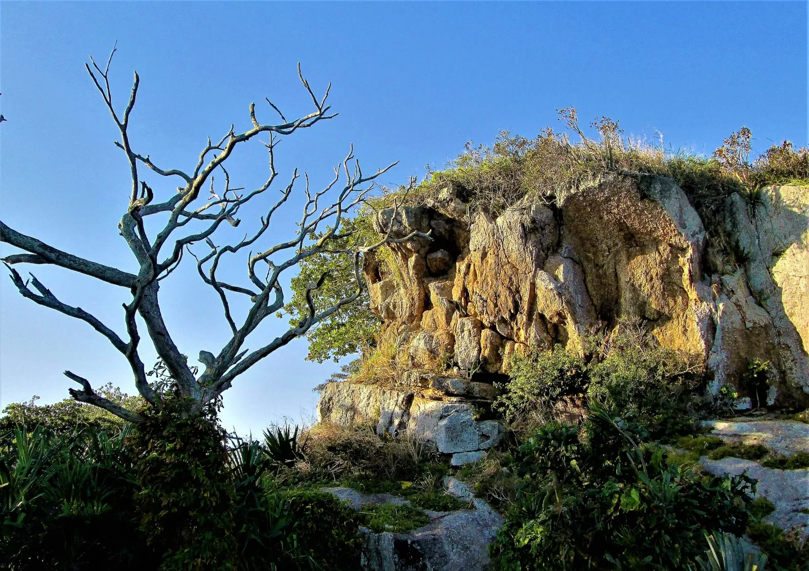 Santa Cruz da Barra Fortress