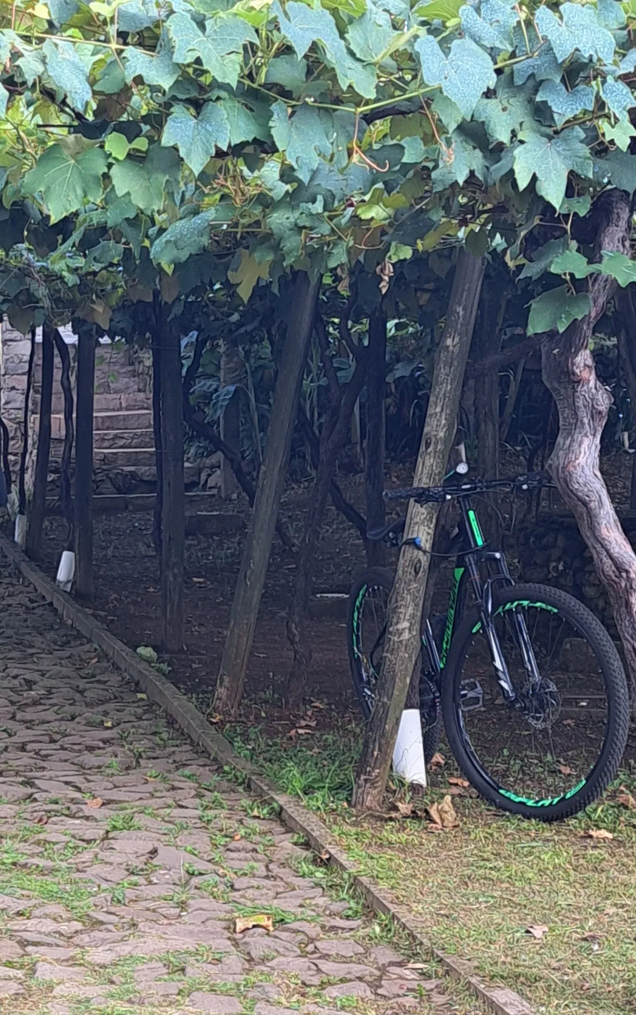 Museu Ambiência Casa de Pedra