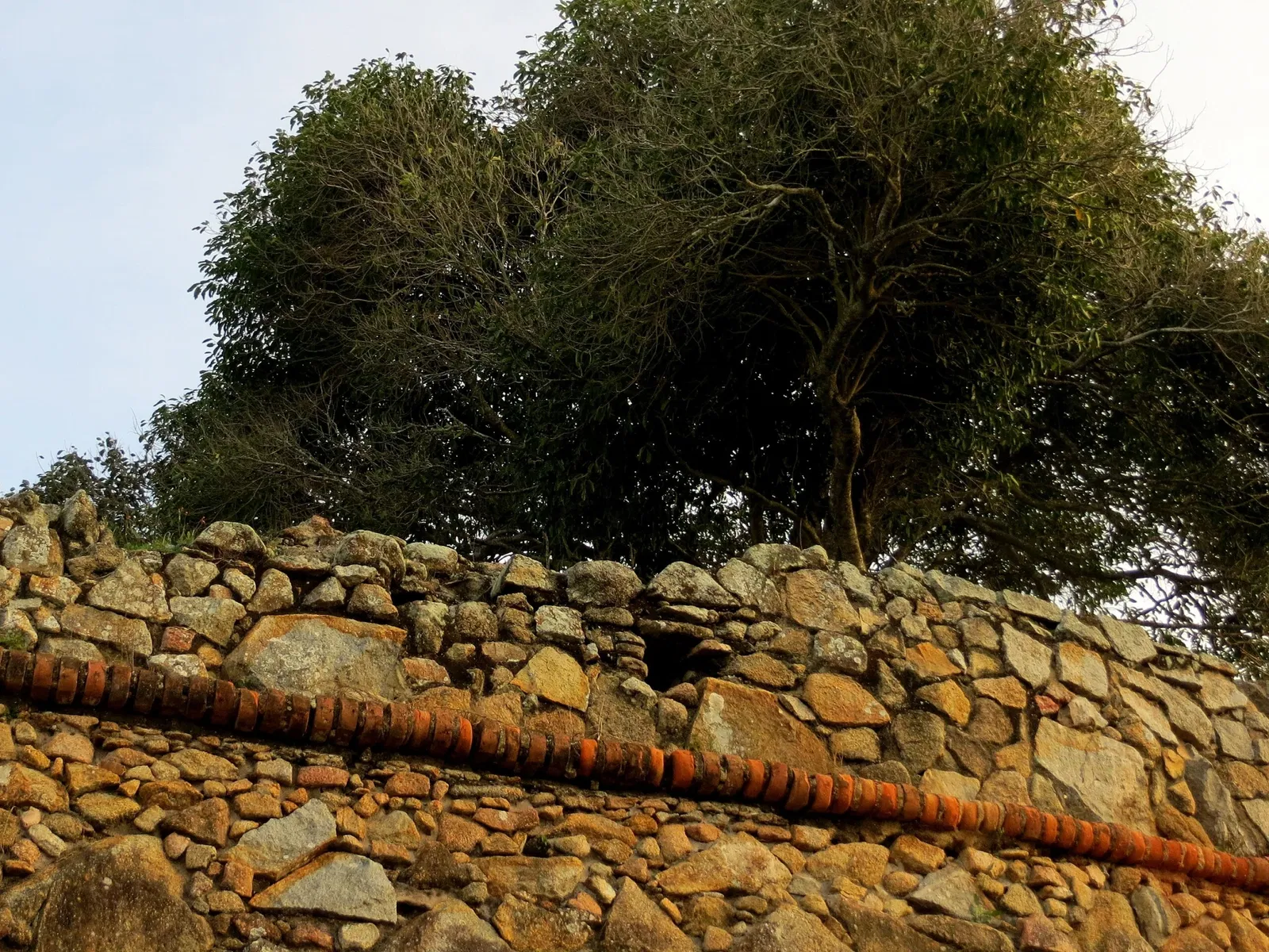 Forteresse de São José da Ponta Grossa