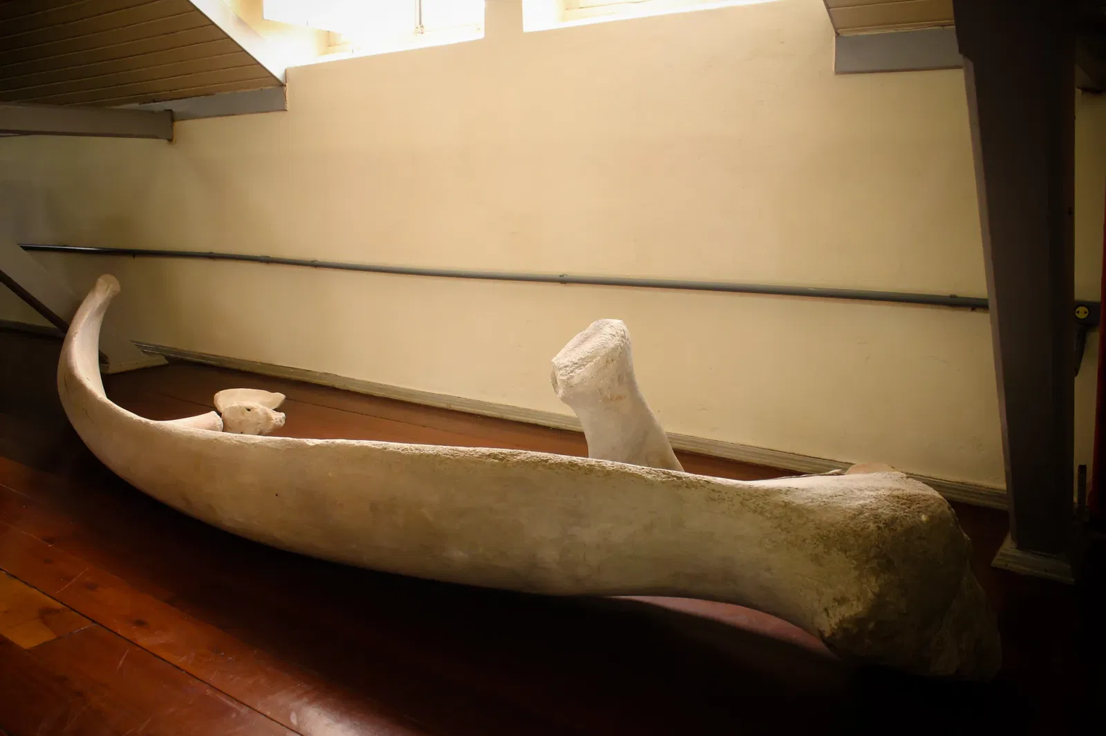 Museu do Homem do Sambaqui