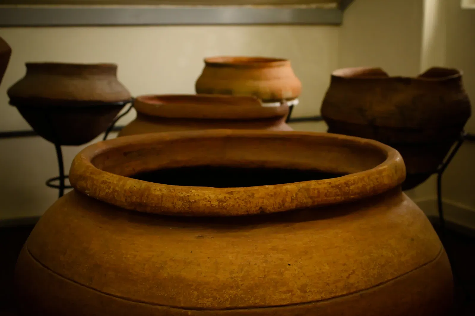 Museu do Homem do Sambaqui