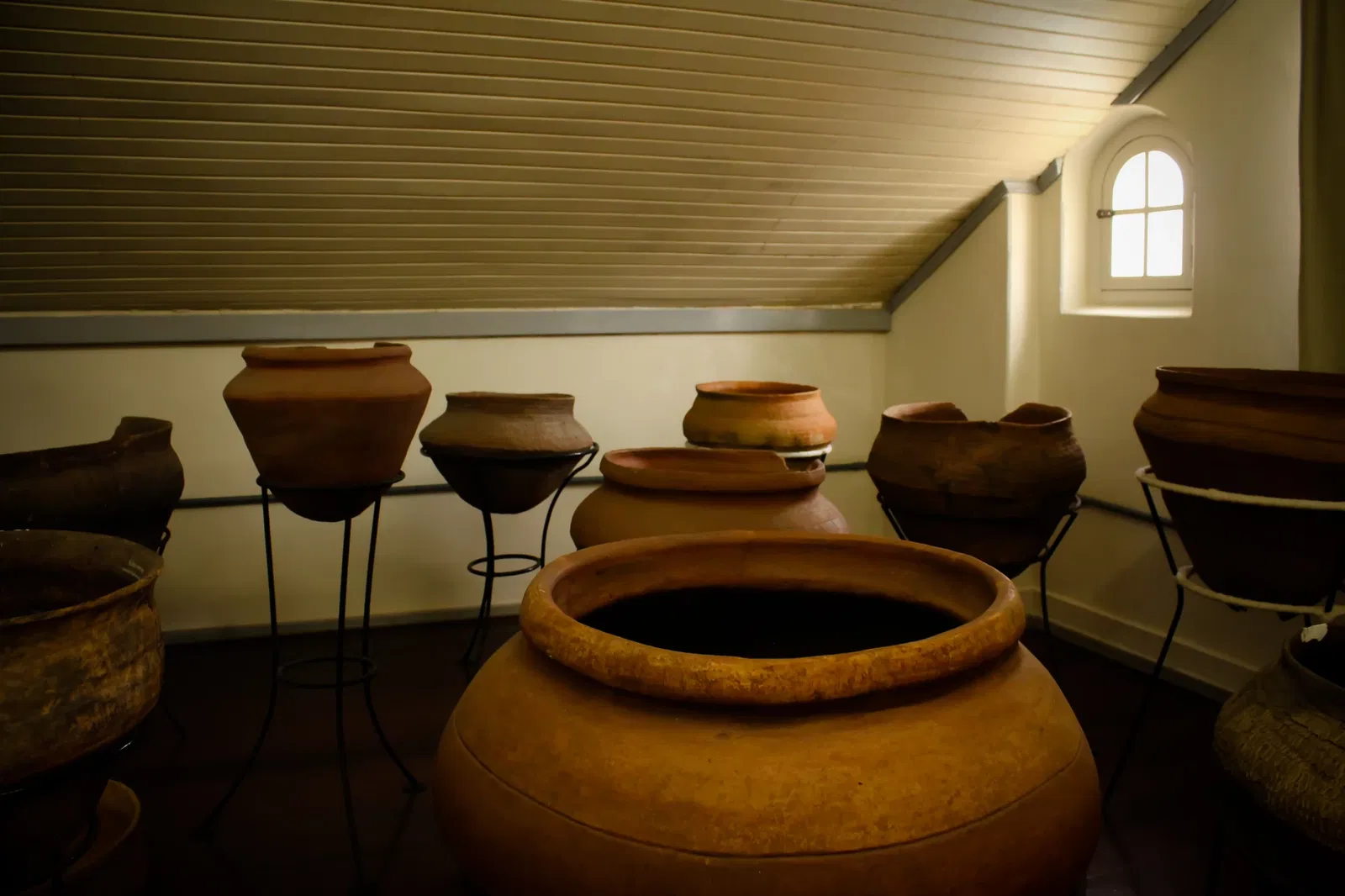 Museu do Homem do Sambaqui