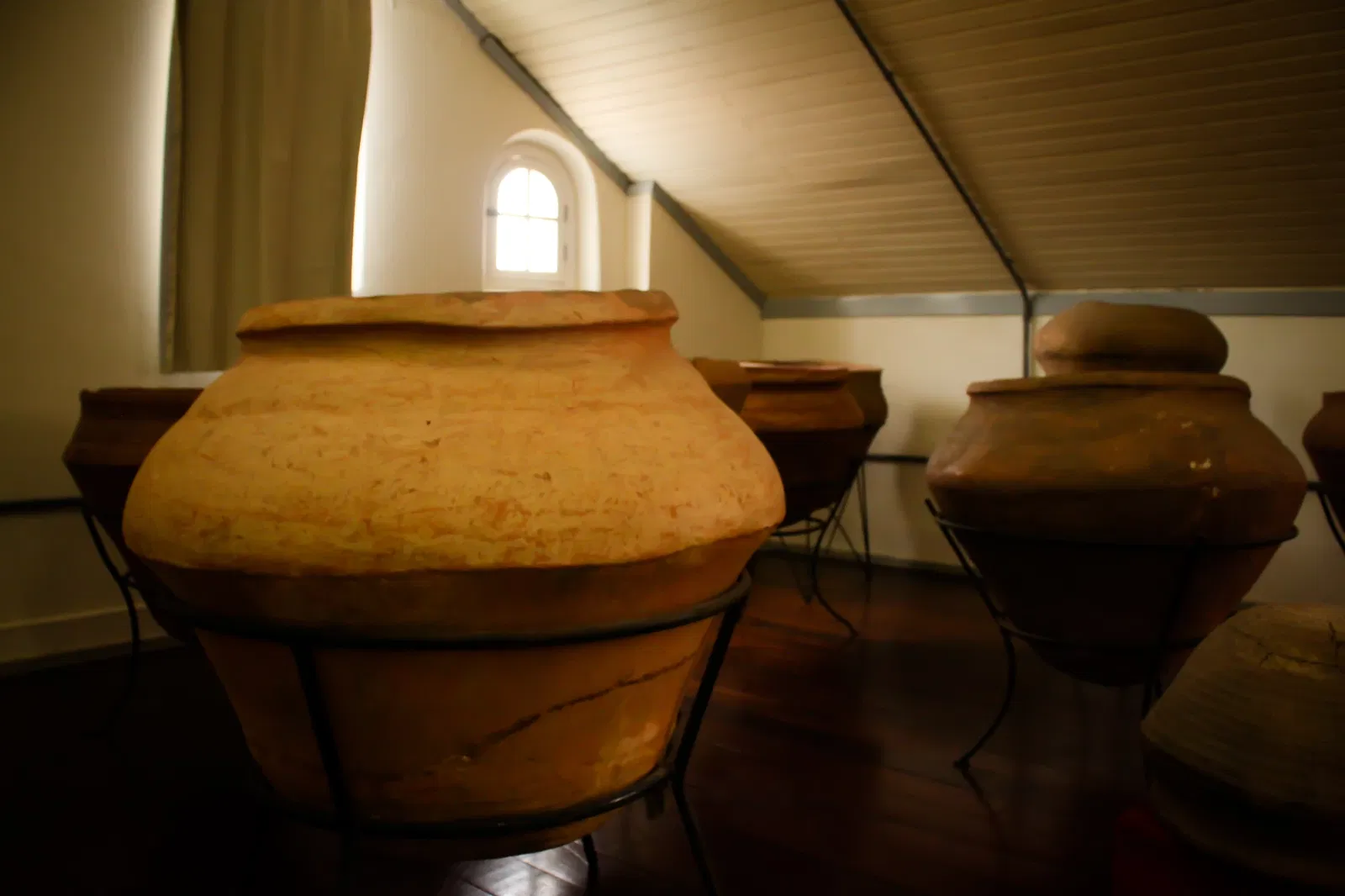 Museu do Homem do Sambaqui