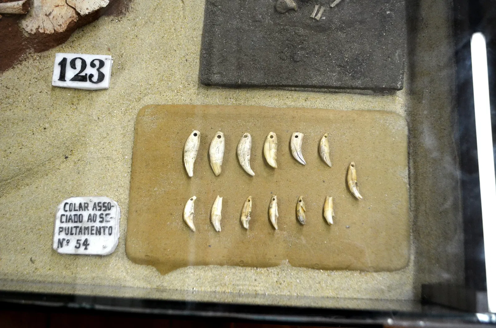 Museu do Homem do Sambaqui