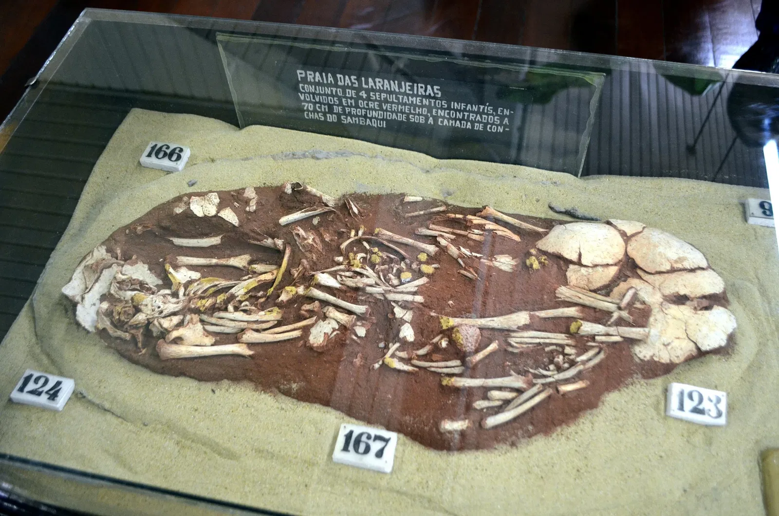 Museu do Homem do Sambaqui