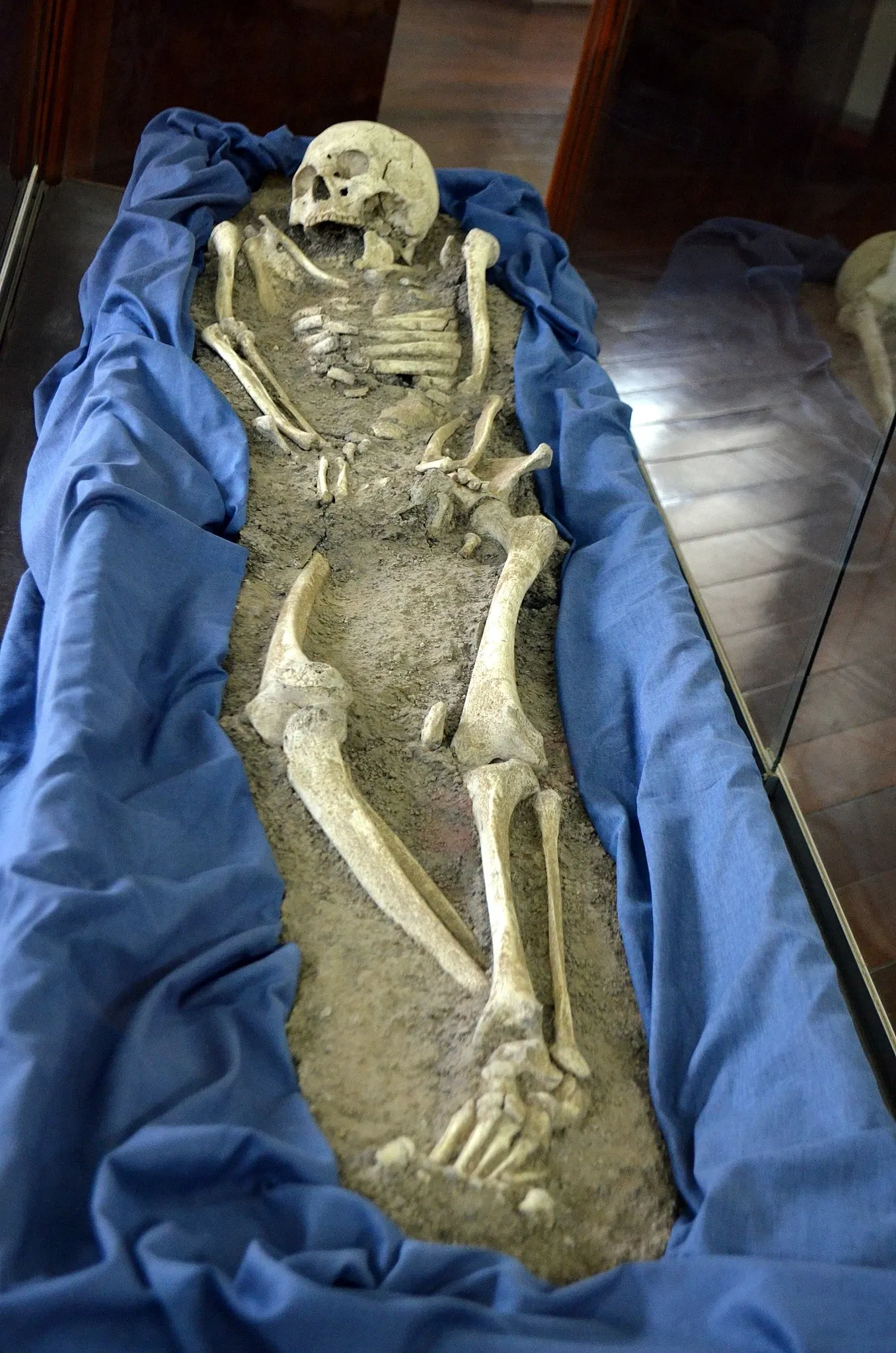 Museu do Homem do Sambaqui