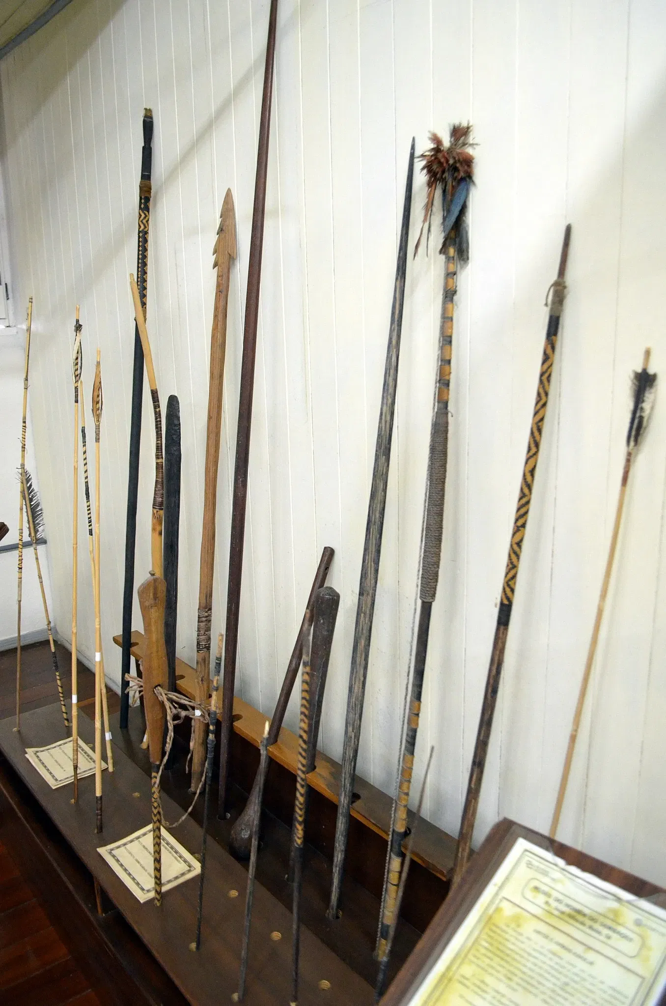 Museu do Homem do Sambaqui