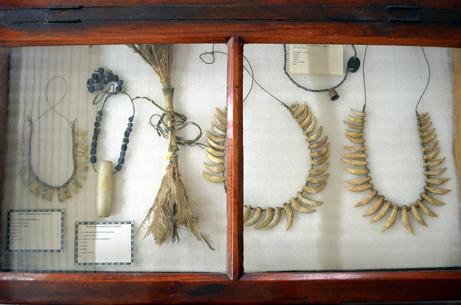 Museu do Homem do Sambaqui