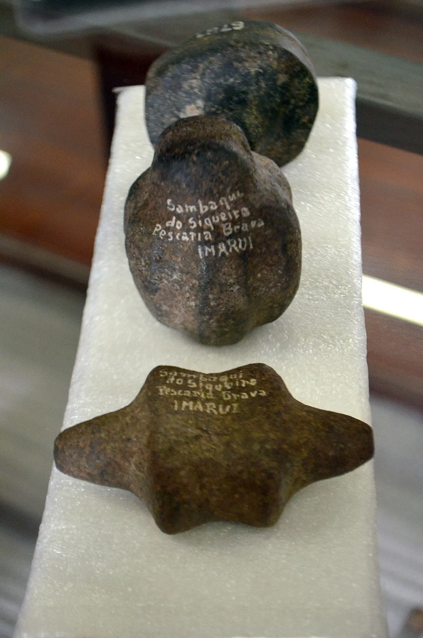 Museu do Homem do Sambaqui