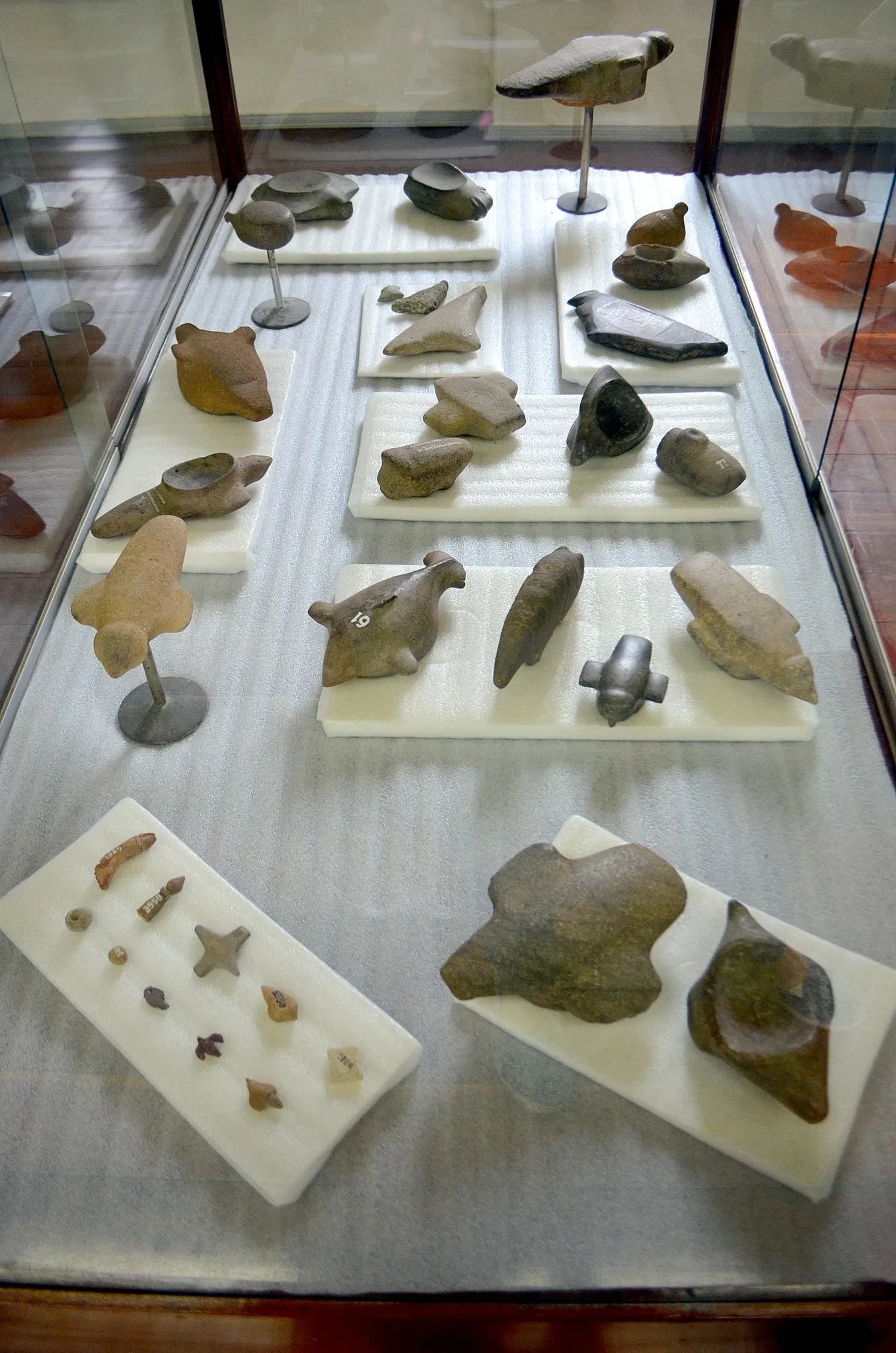 Museu do Homem do Sambaqui