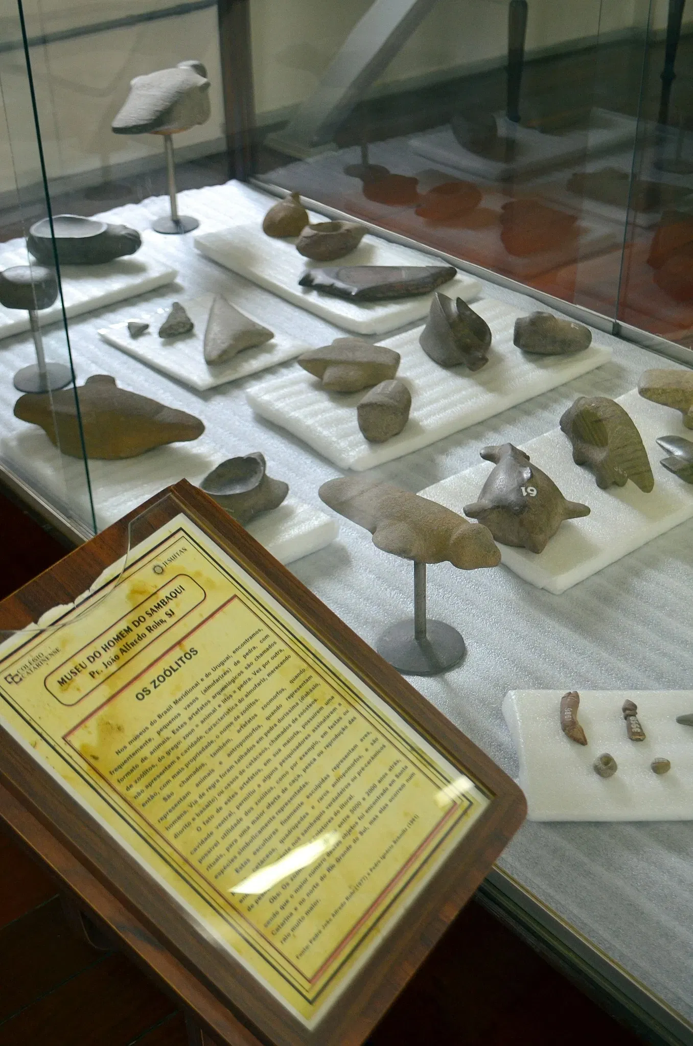 Museu do Homem do Sambaqui