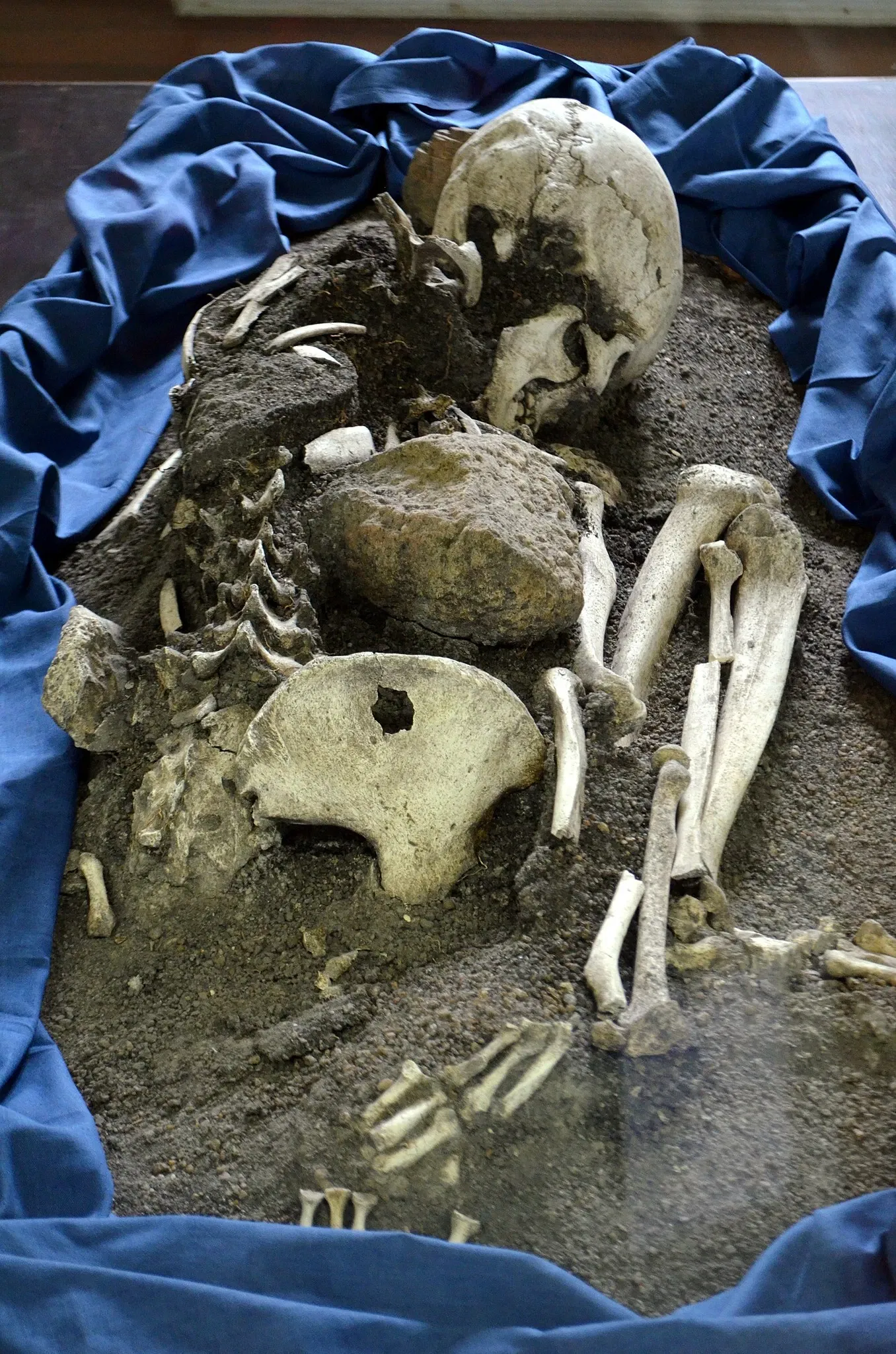 Museu do Homem do Sambaqui