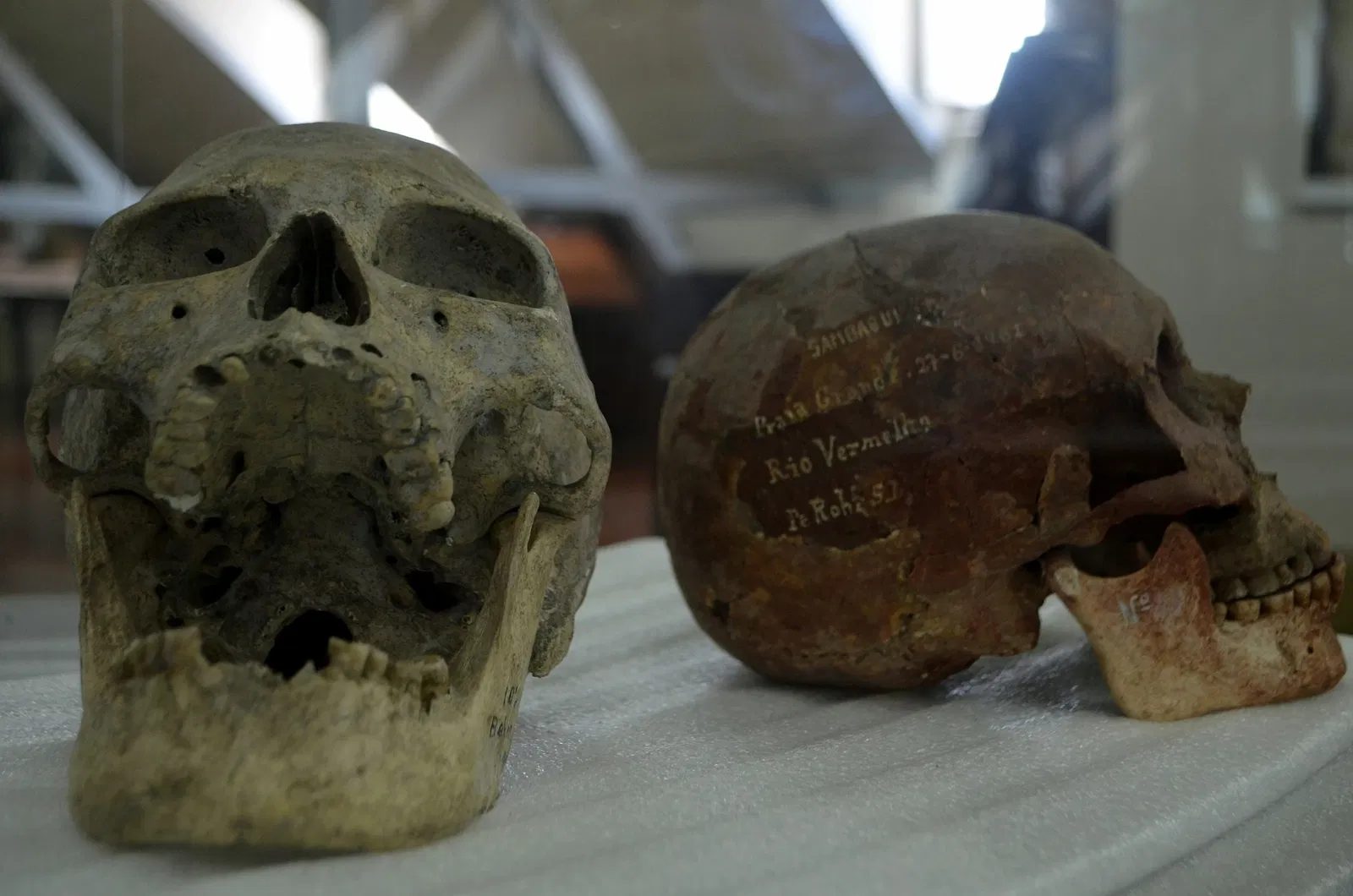 Museu do Homem do Sambaqui