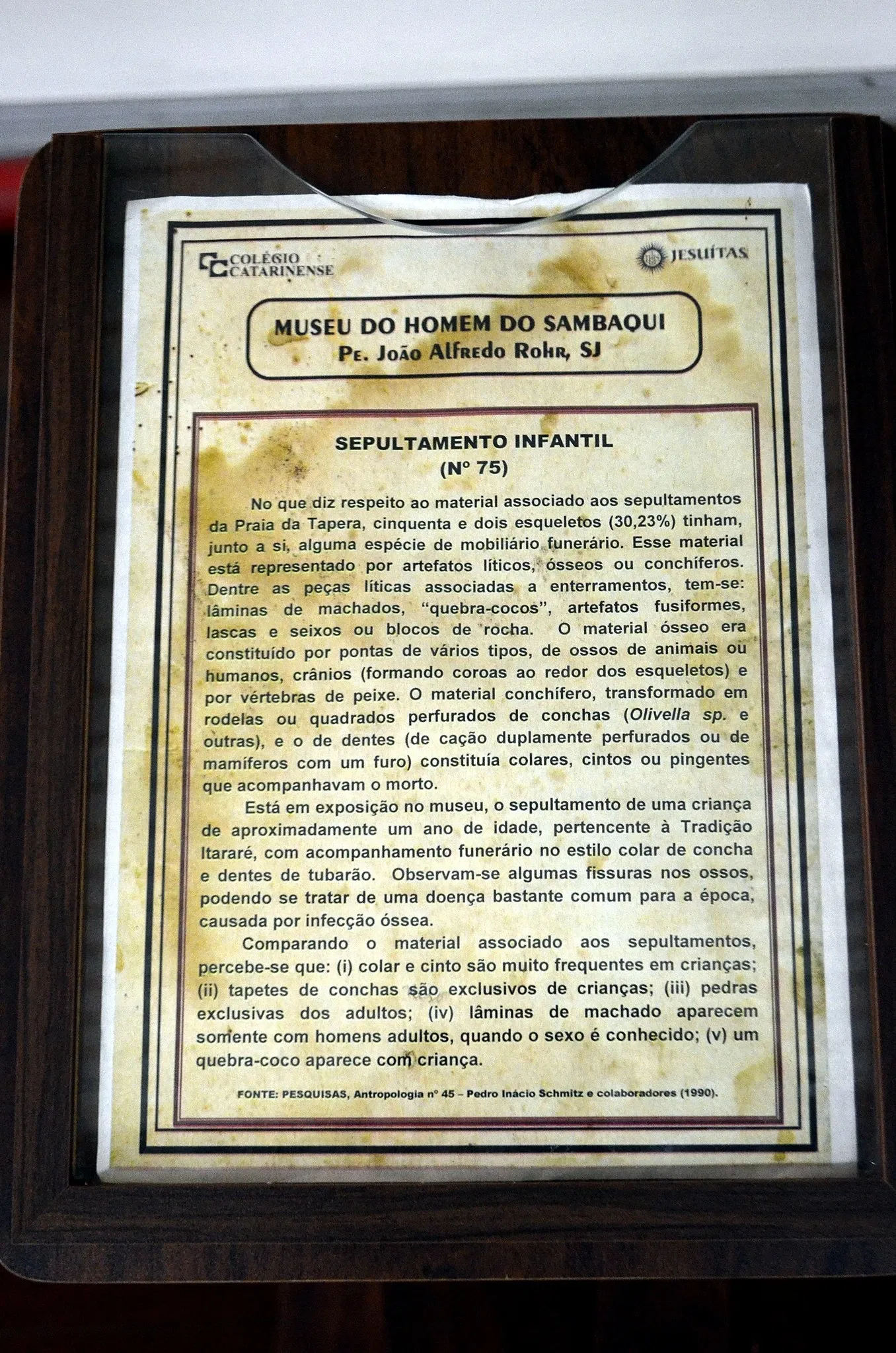 Museu do Homem do Sambaqui